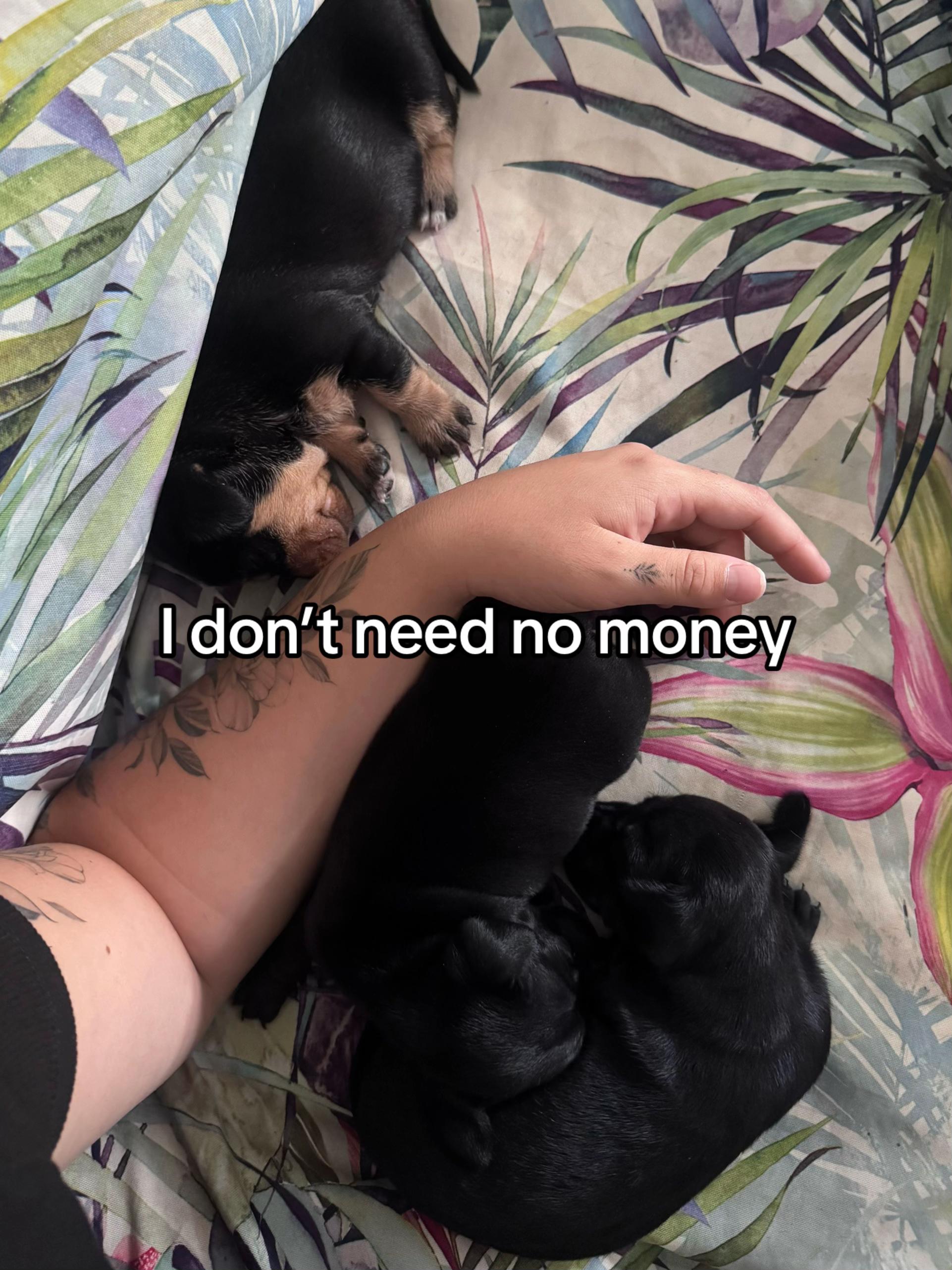 @💕