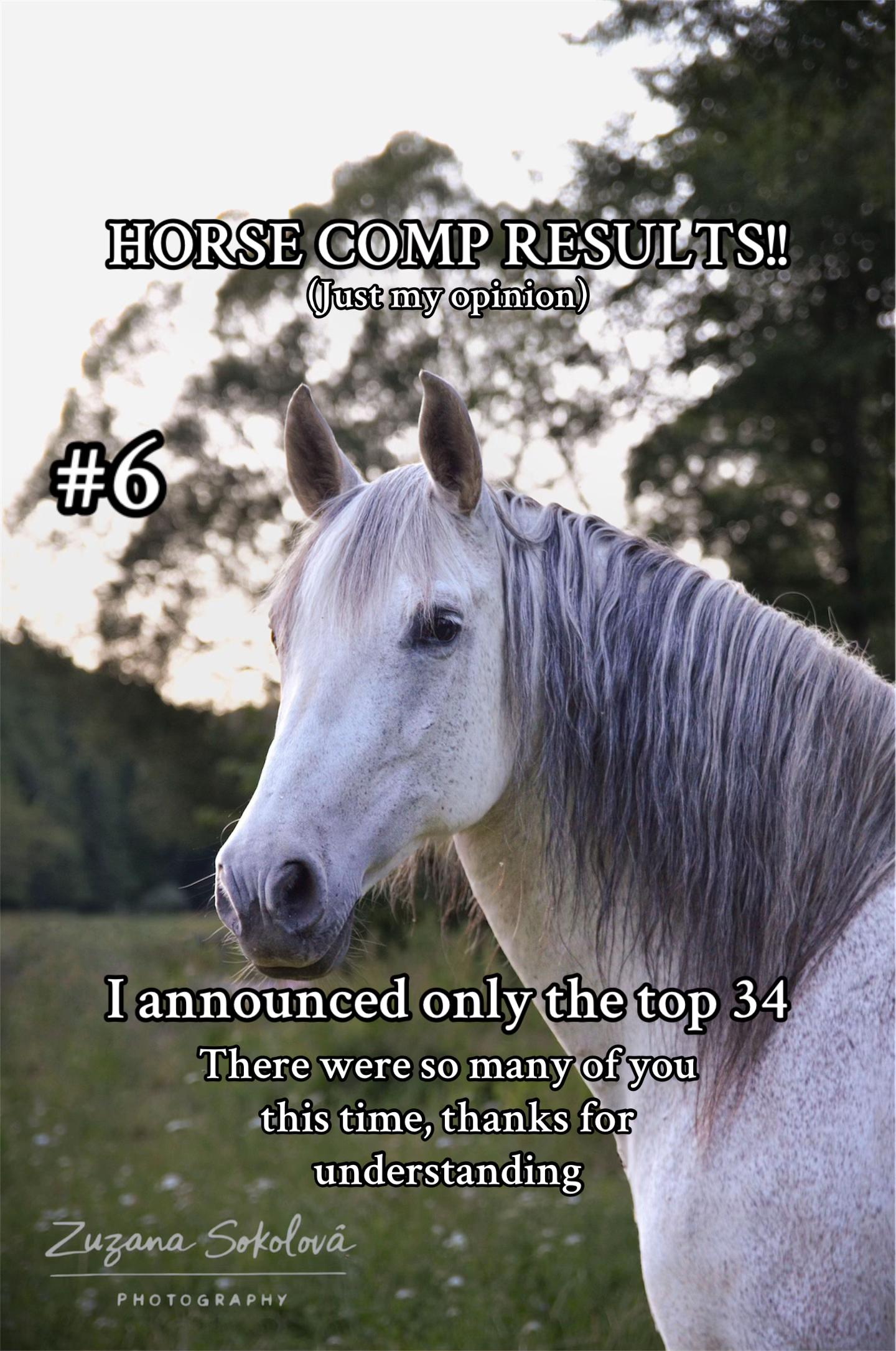 @equestrian._comps