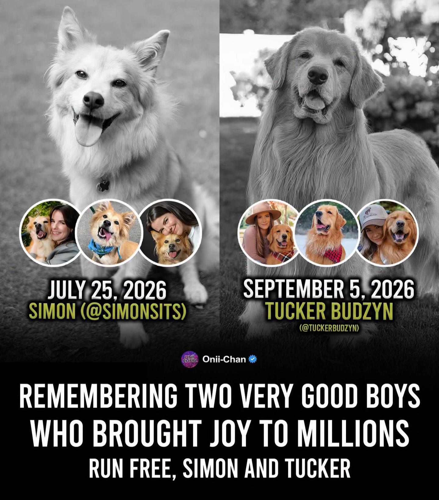 @Awesomepawsome2017