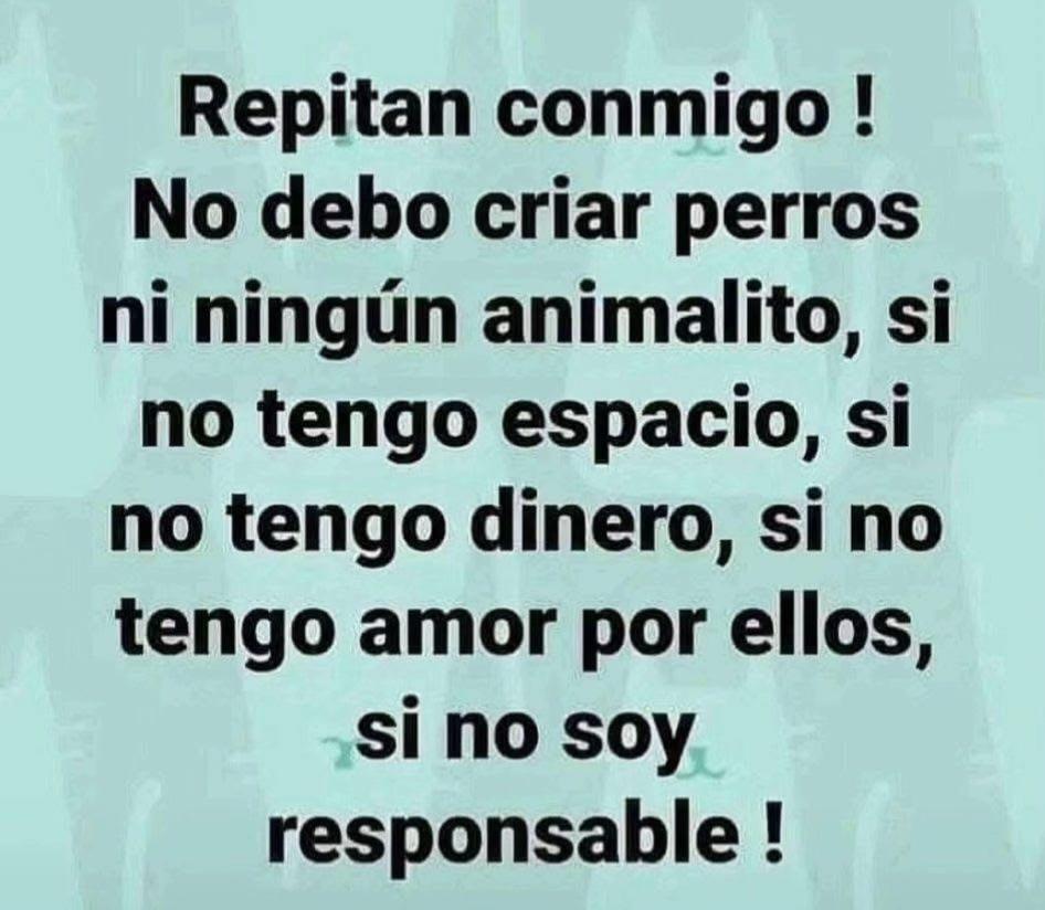 @Clio