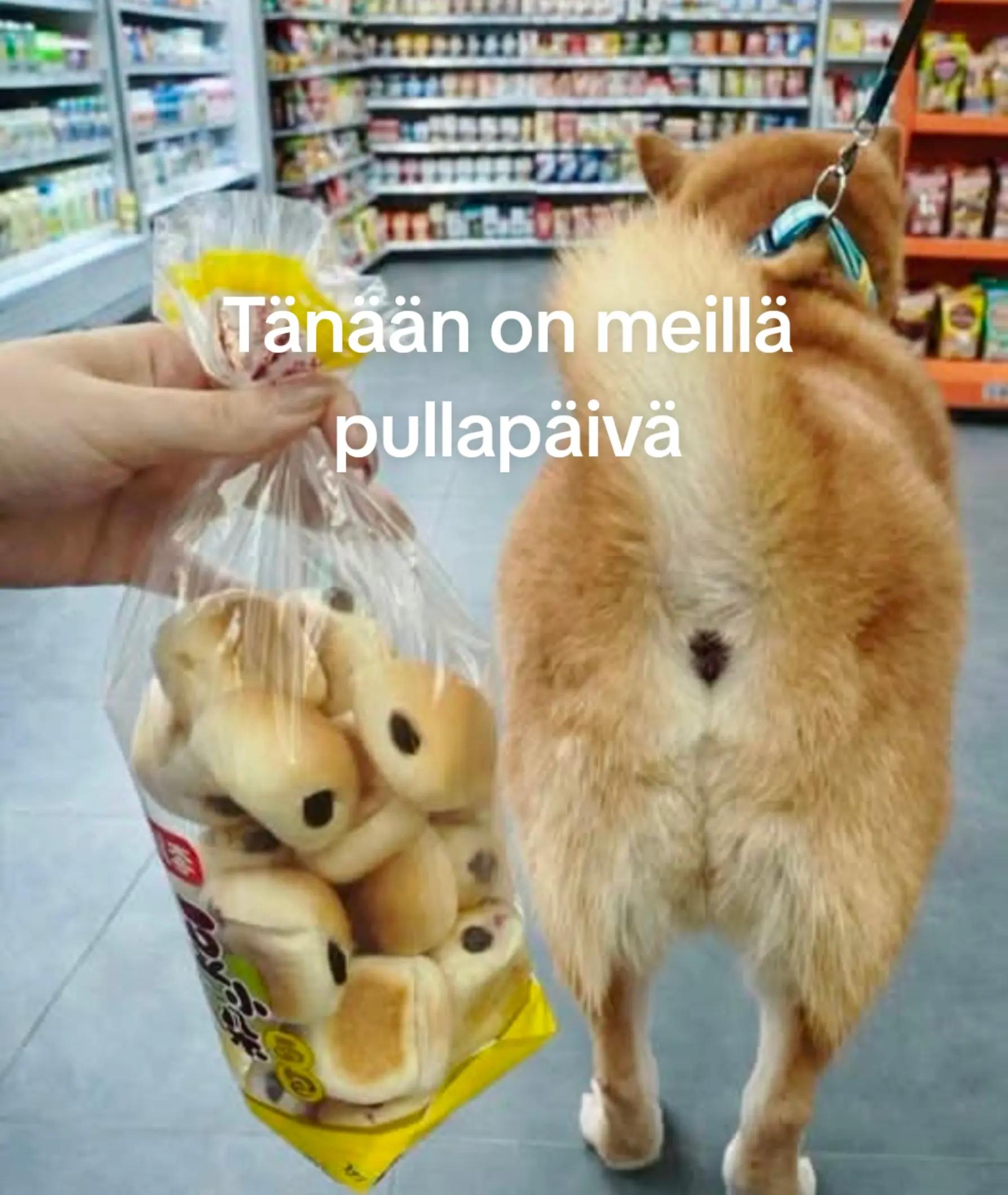 @PilviLumi