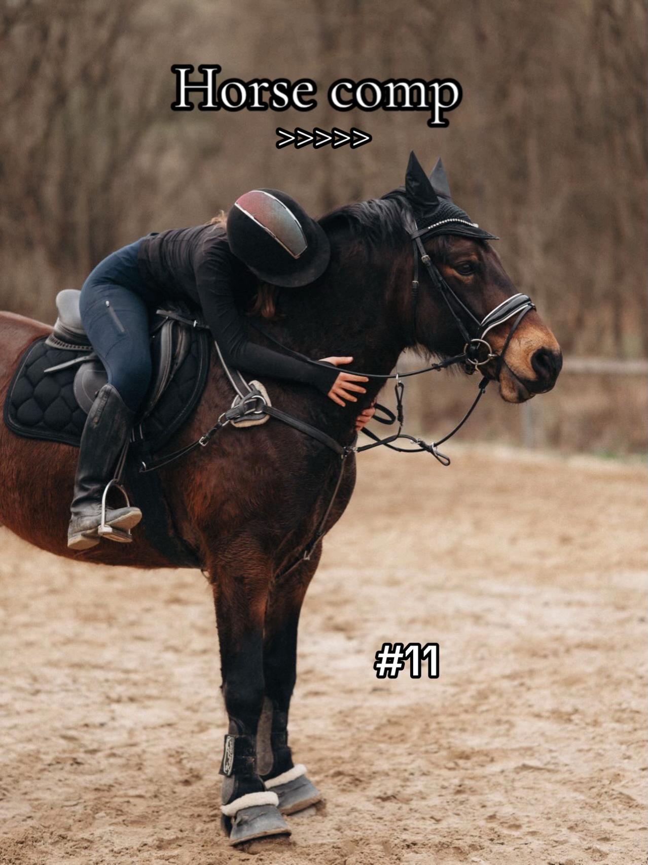 @equestrian._comps