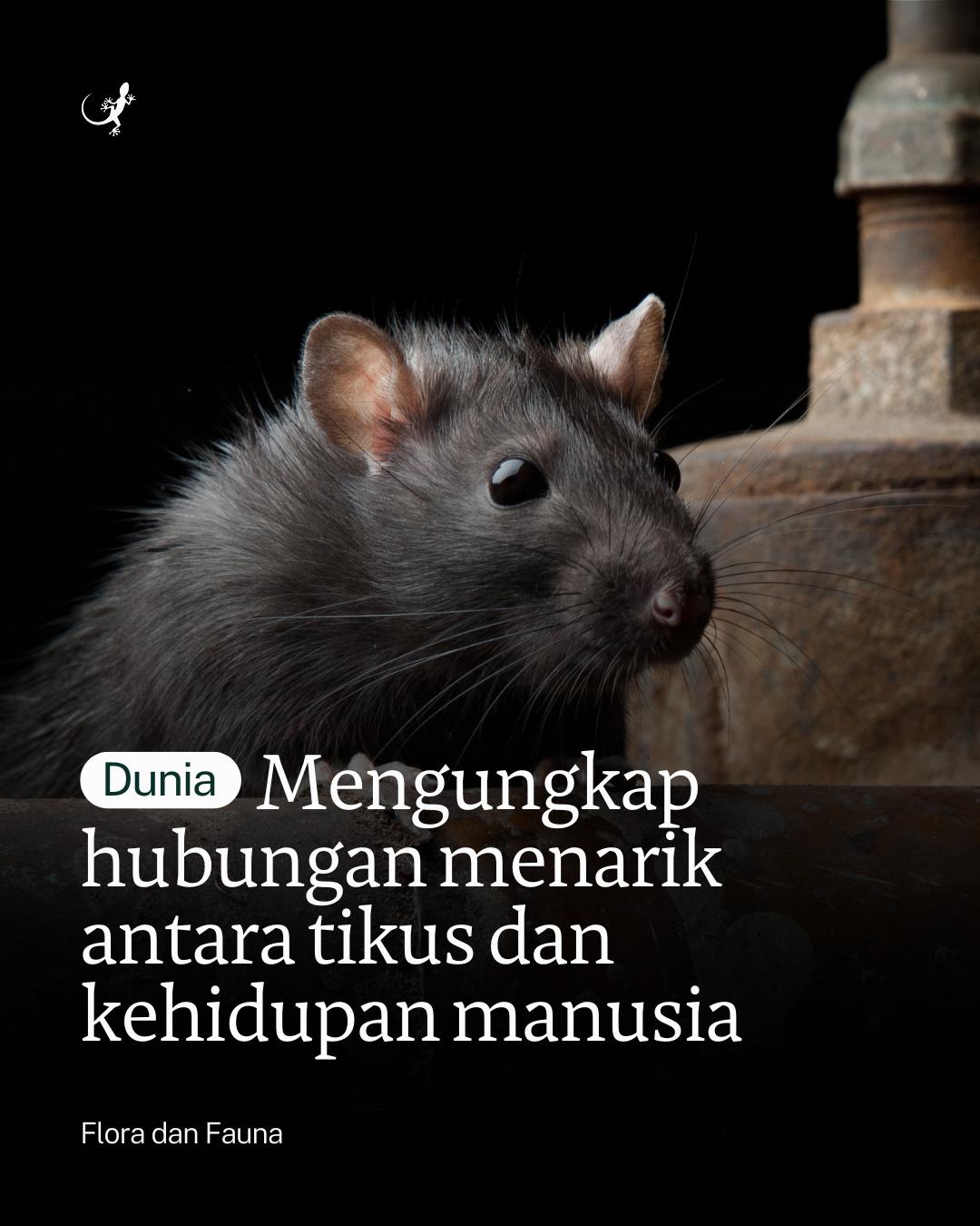 @mongabayindonesia