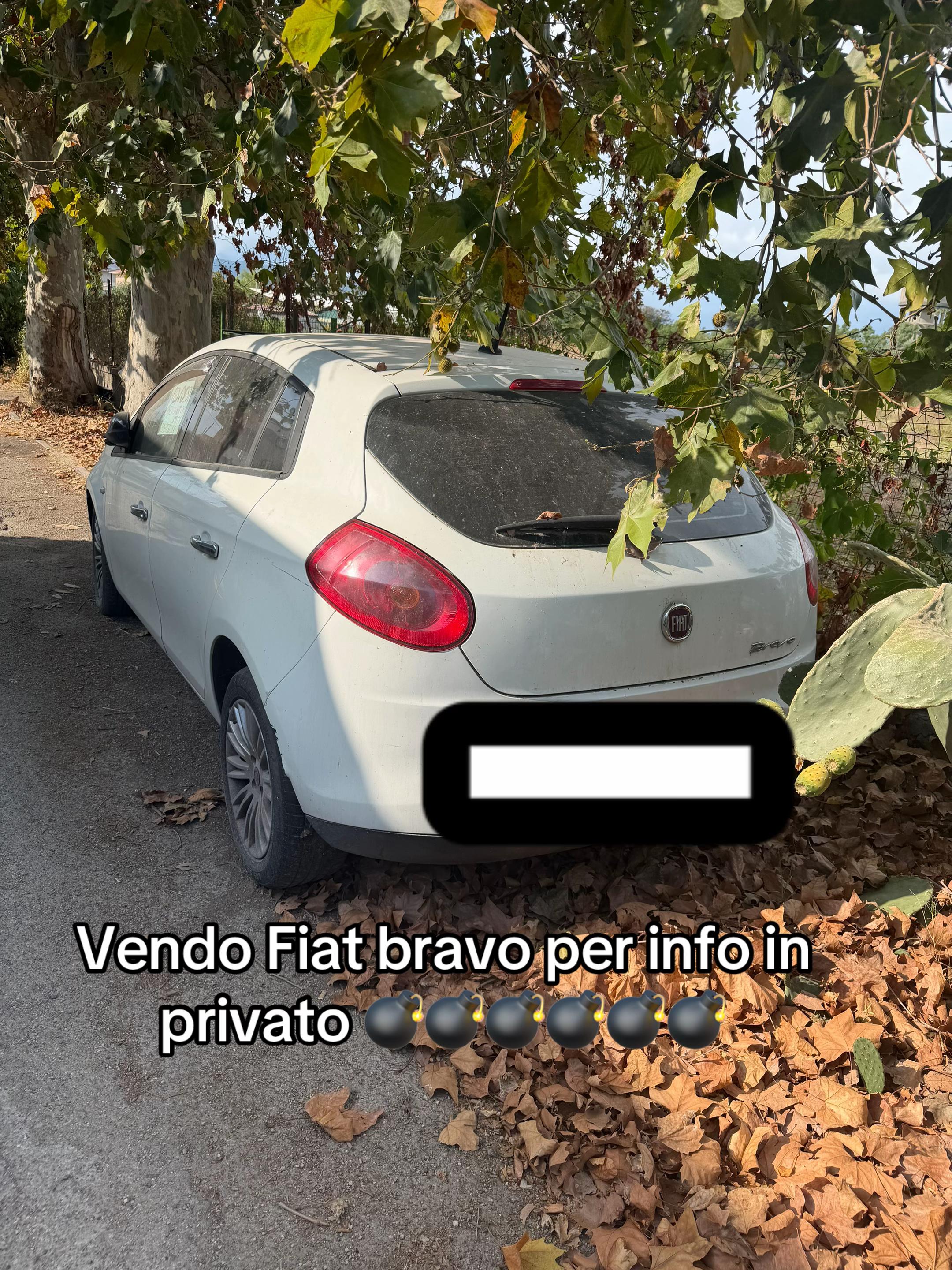 @🤴alducc🤴