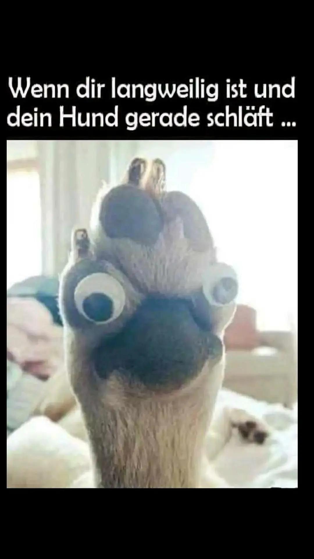 @Martina