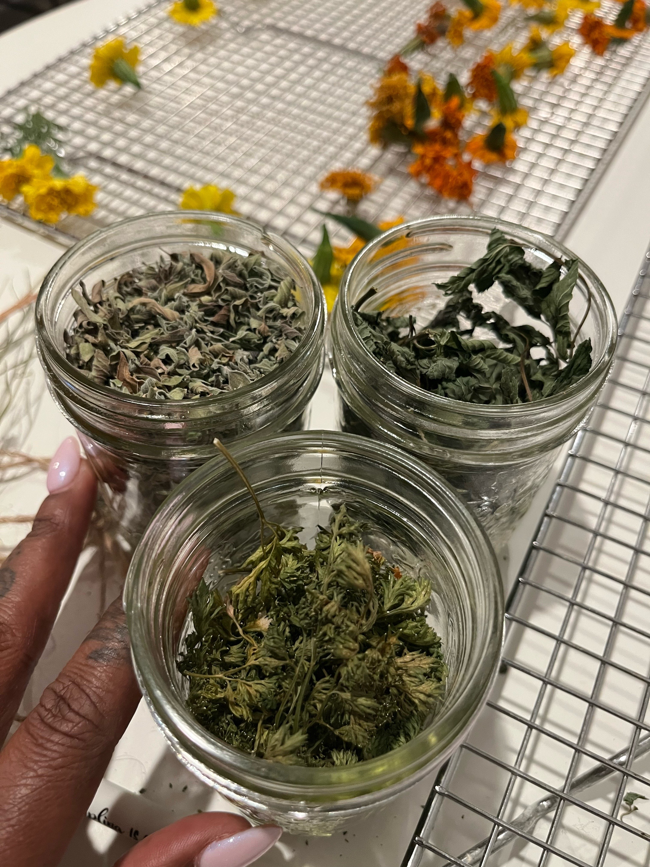 @Essencetheherbalist