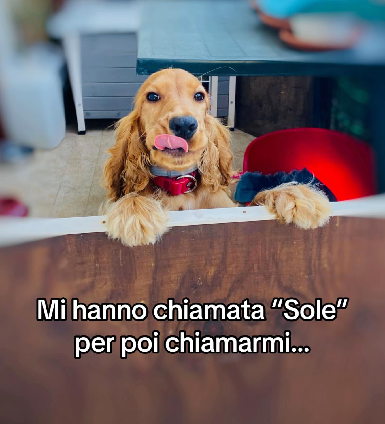 @Chiara🧿