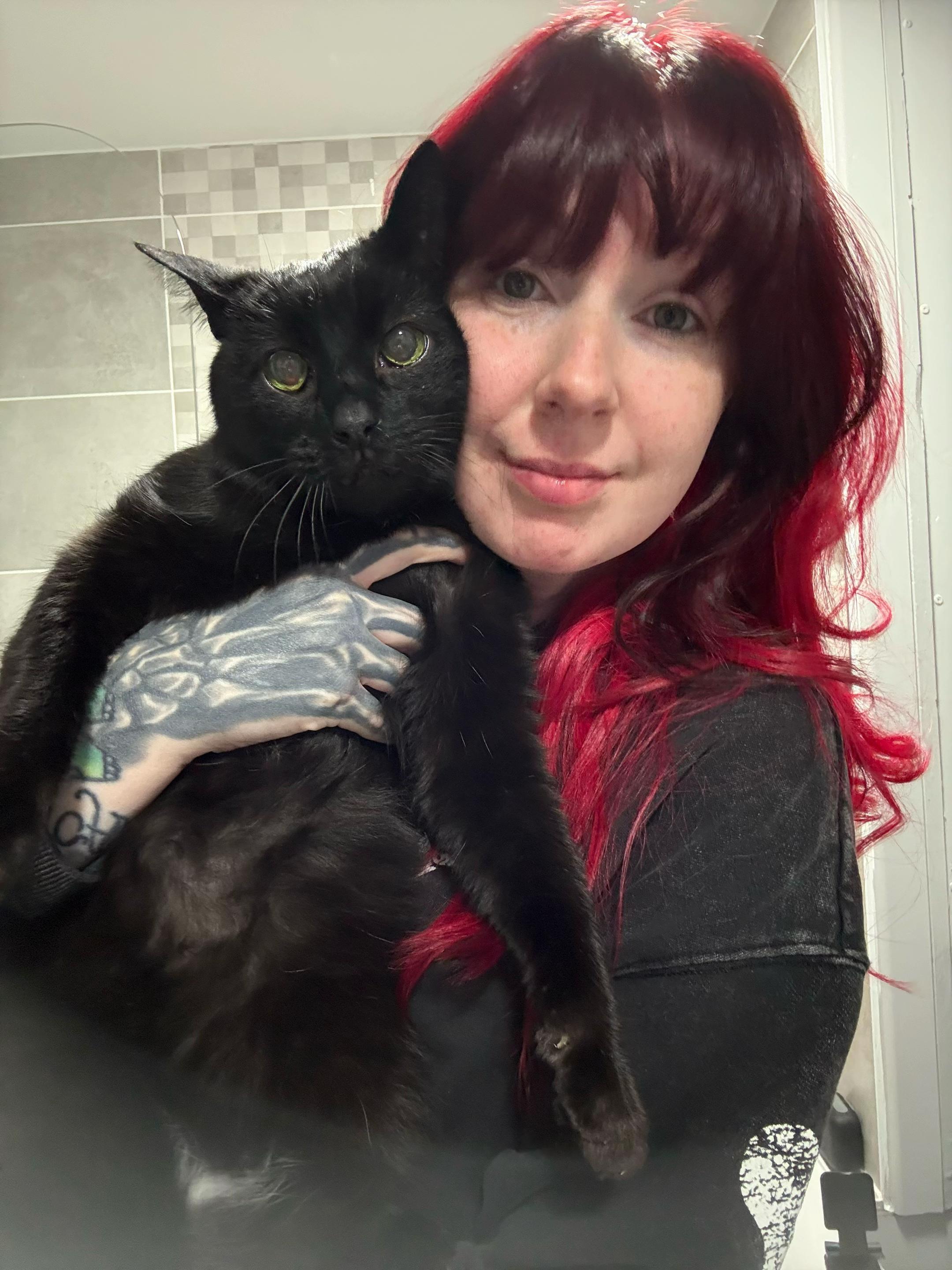 @Teefie_tribe 🐈&zwj;⬛🐈&zwj;⬛🐈🦷🦷