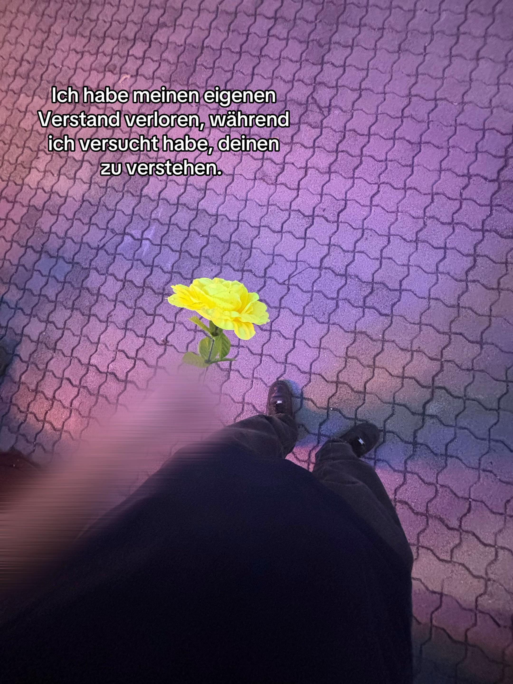 @𝘿𝙀𝙄𝙉 𝙎𝘼𝙁𝙀𝙋𝙇𝘼𝘾𝙀 🫂