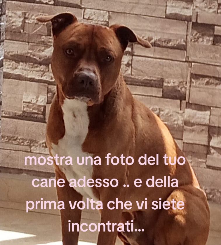 @marytonia