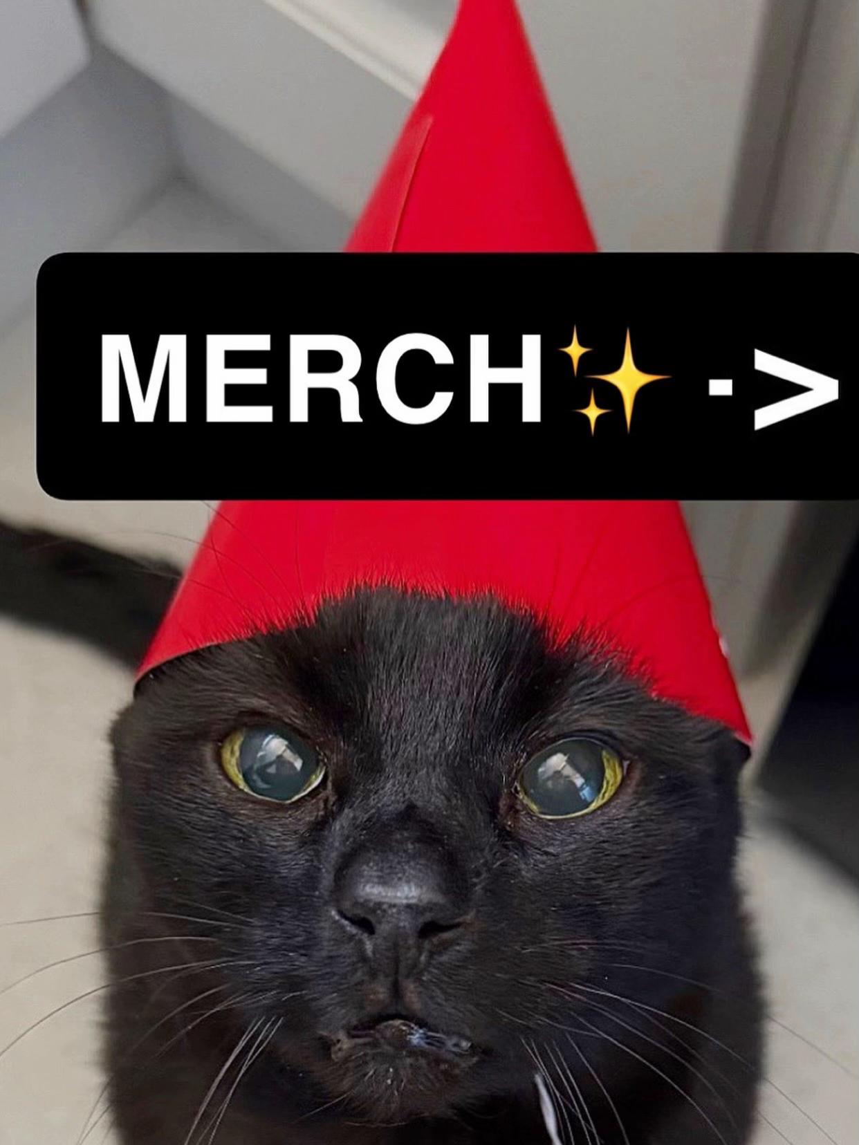 @Teefie_tribe 🐈⬛🐈⬛🐈🦷🦷