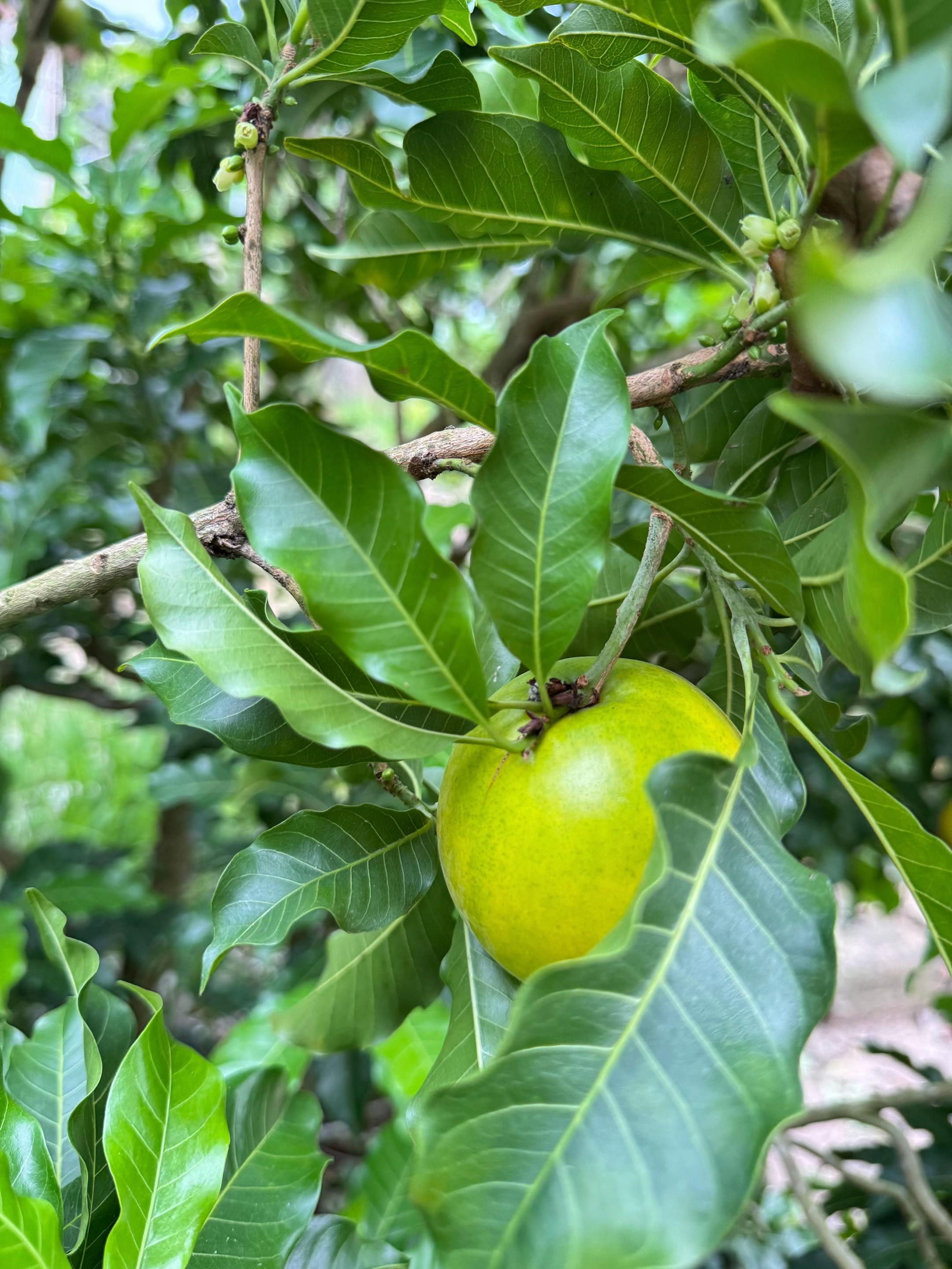 @Diên Diên