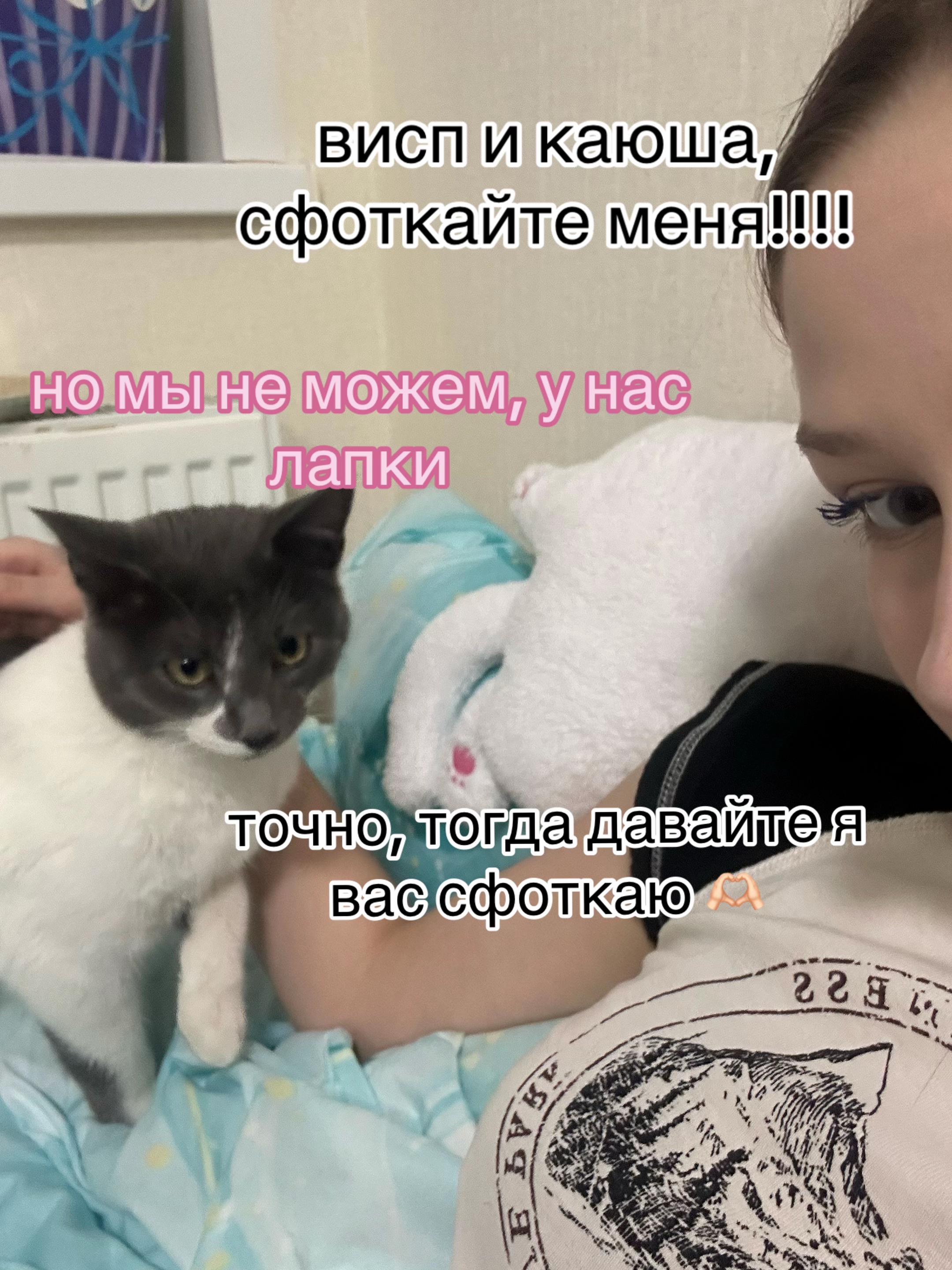 @shapka_2005