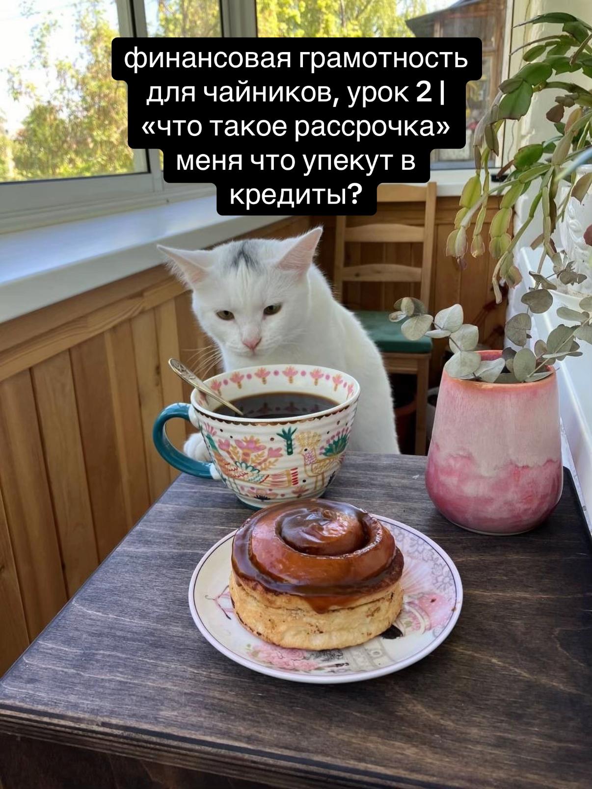 @леся ᴗ̈