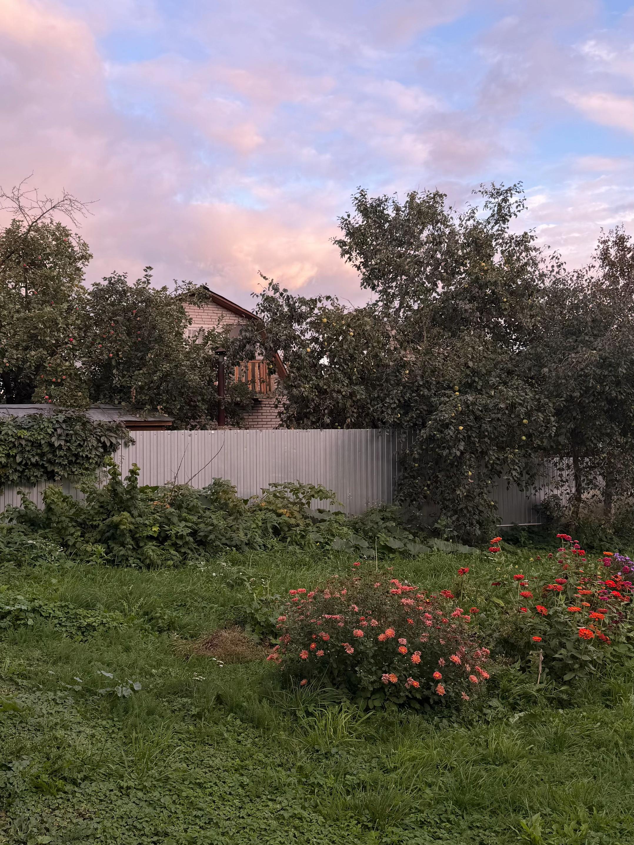 @помидорка🍎