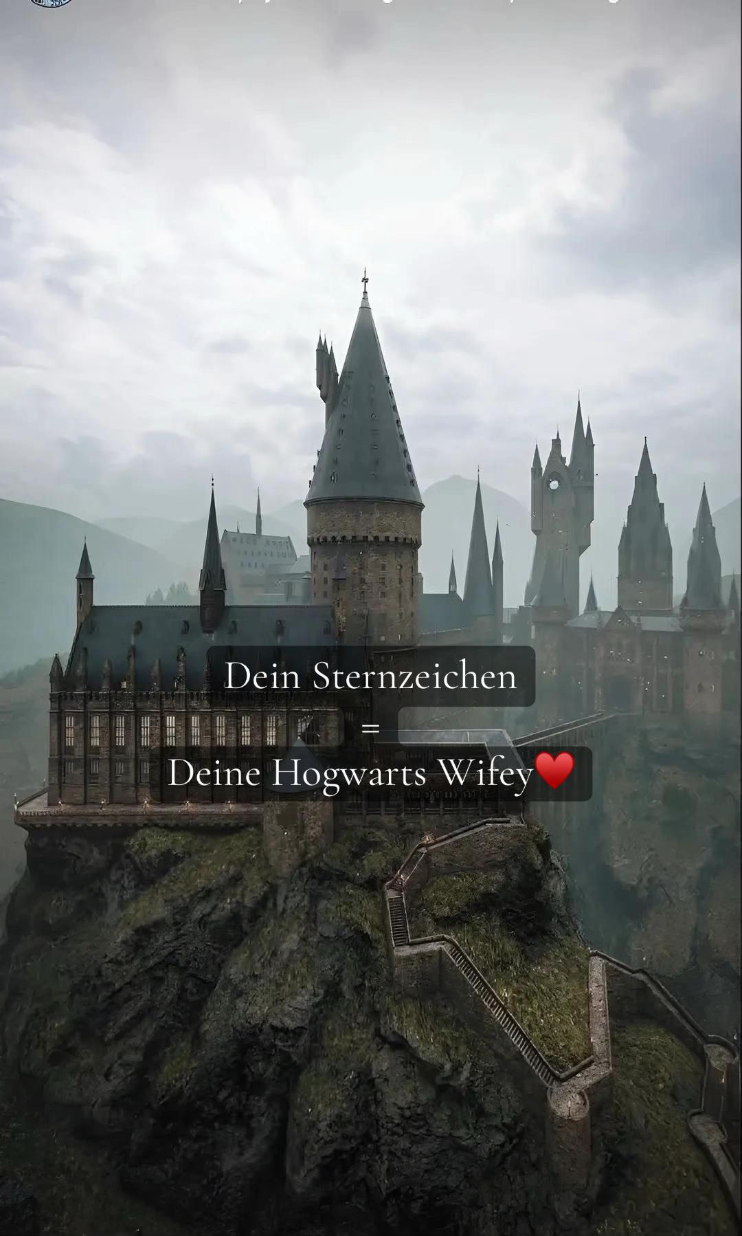 @Muggelgefl&uuml;ster