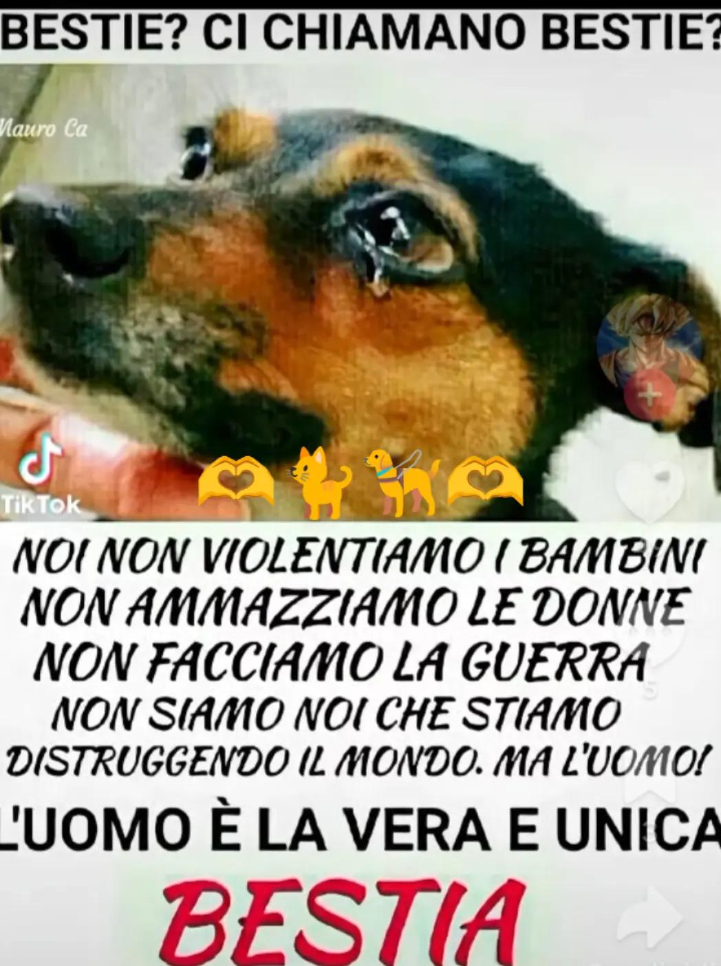 @Ninoilcamionistasiciliano🚛