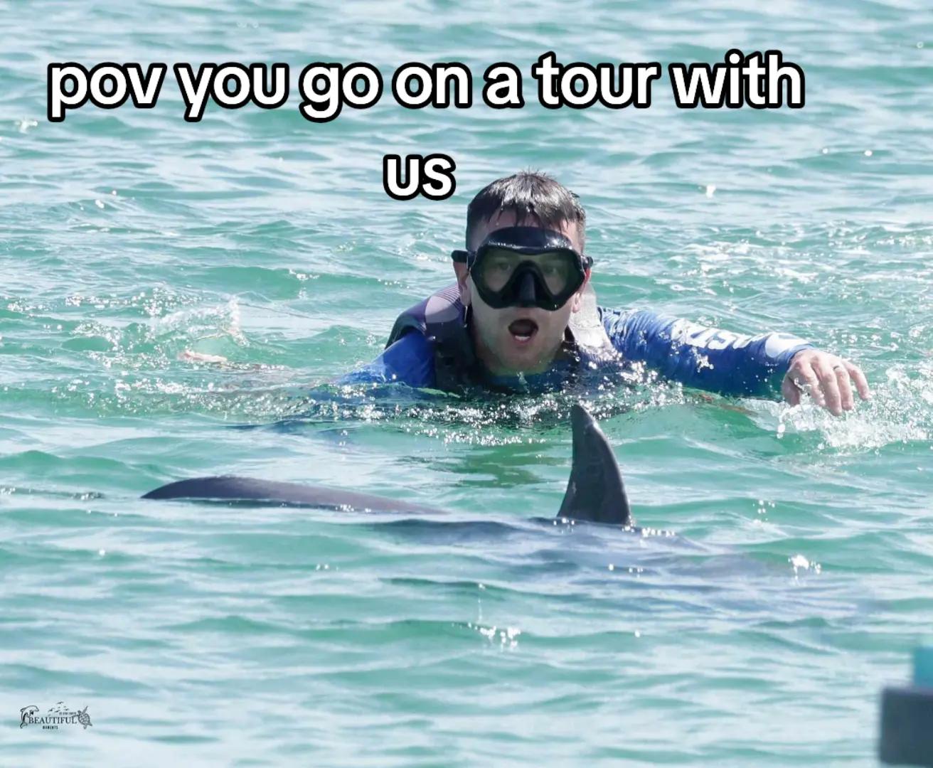 @Shell Island Dolphin Tours 🐬