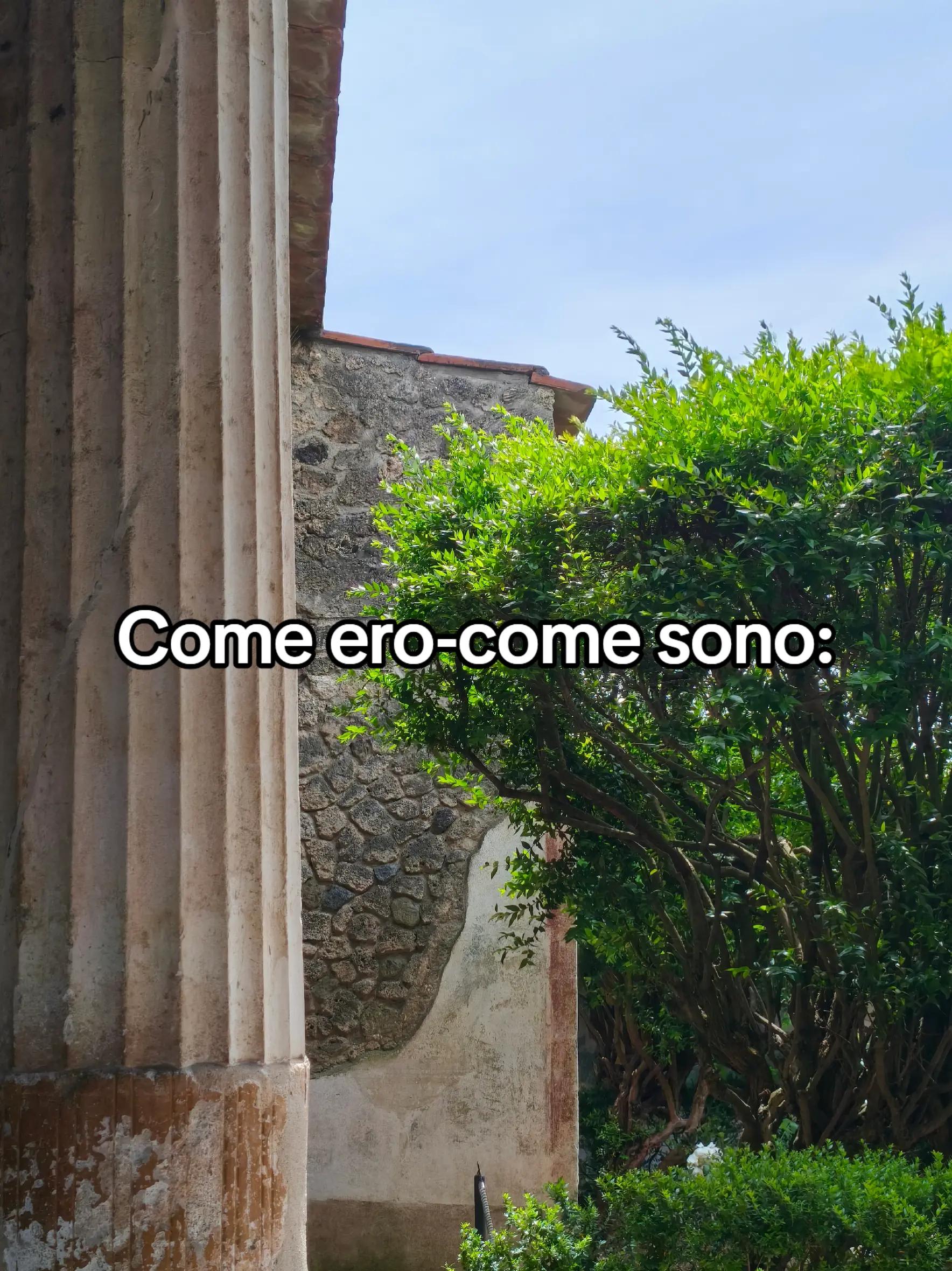 @𝑨𝒔𝒉𝒚🪽