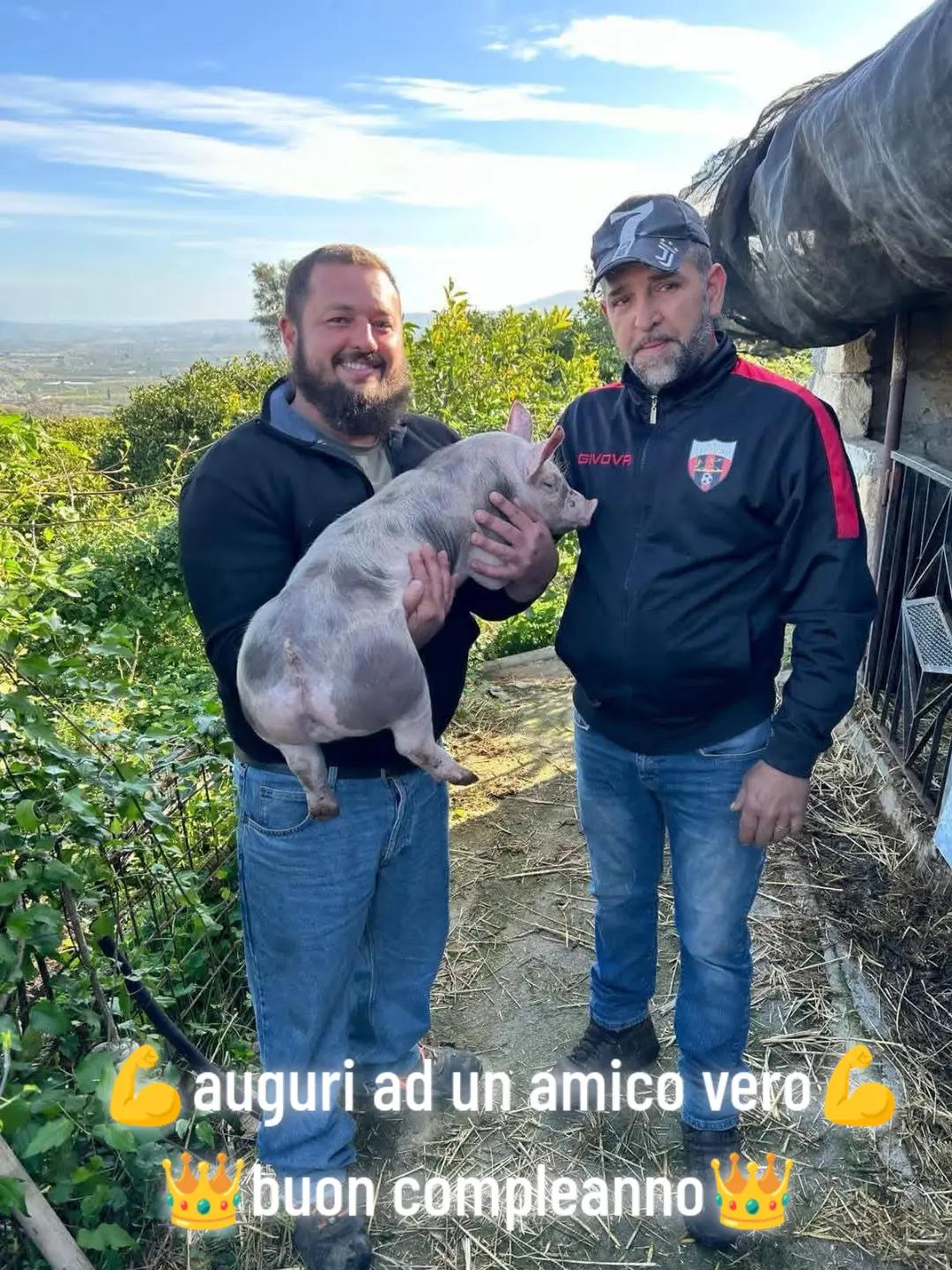 @Stefano Zagara