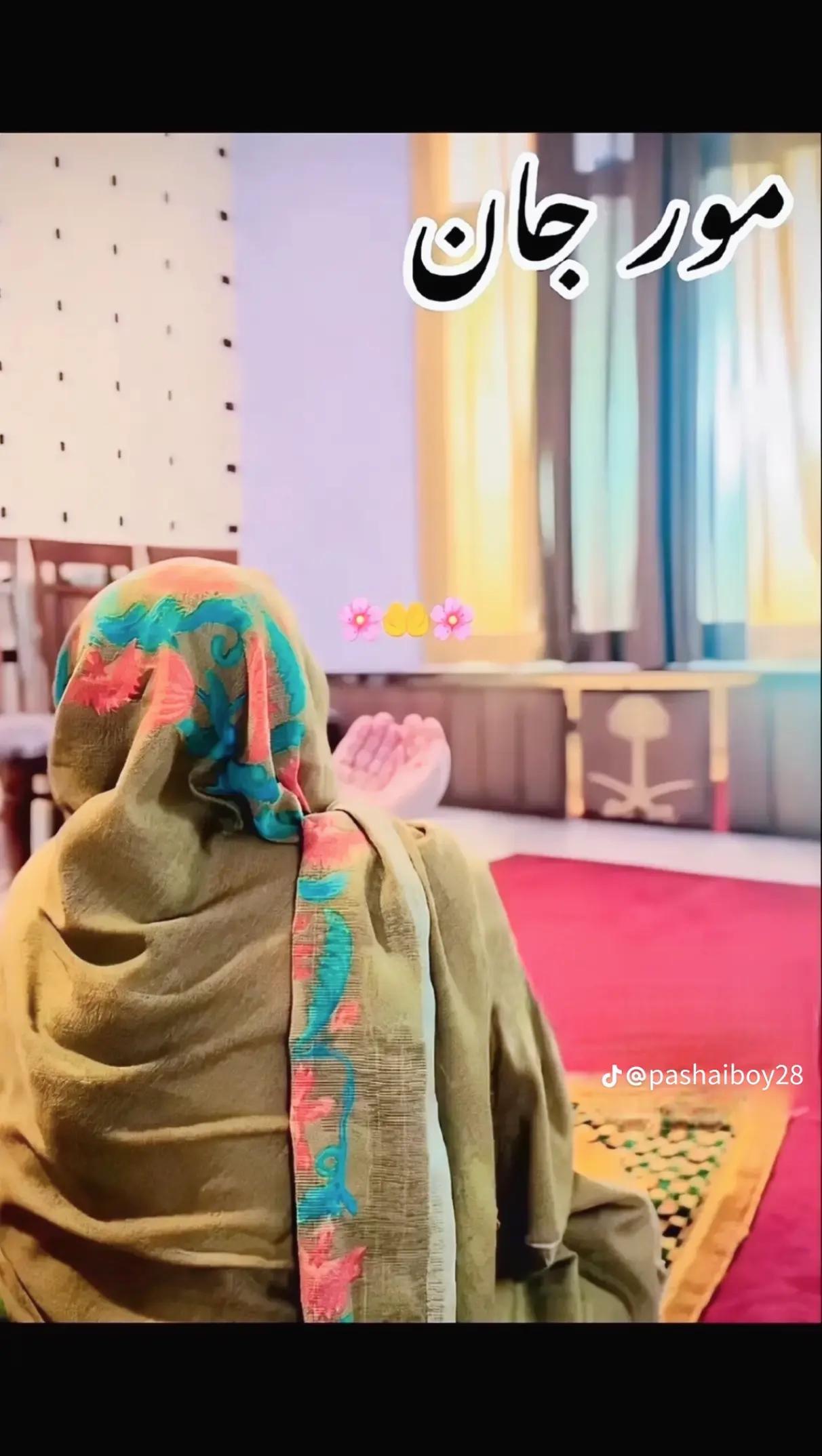 @❌ Tofeeq Khan Official ❌