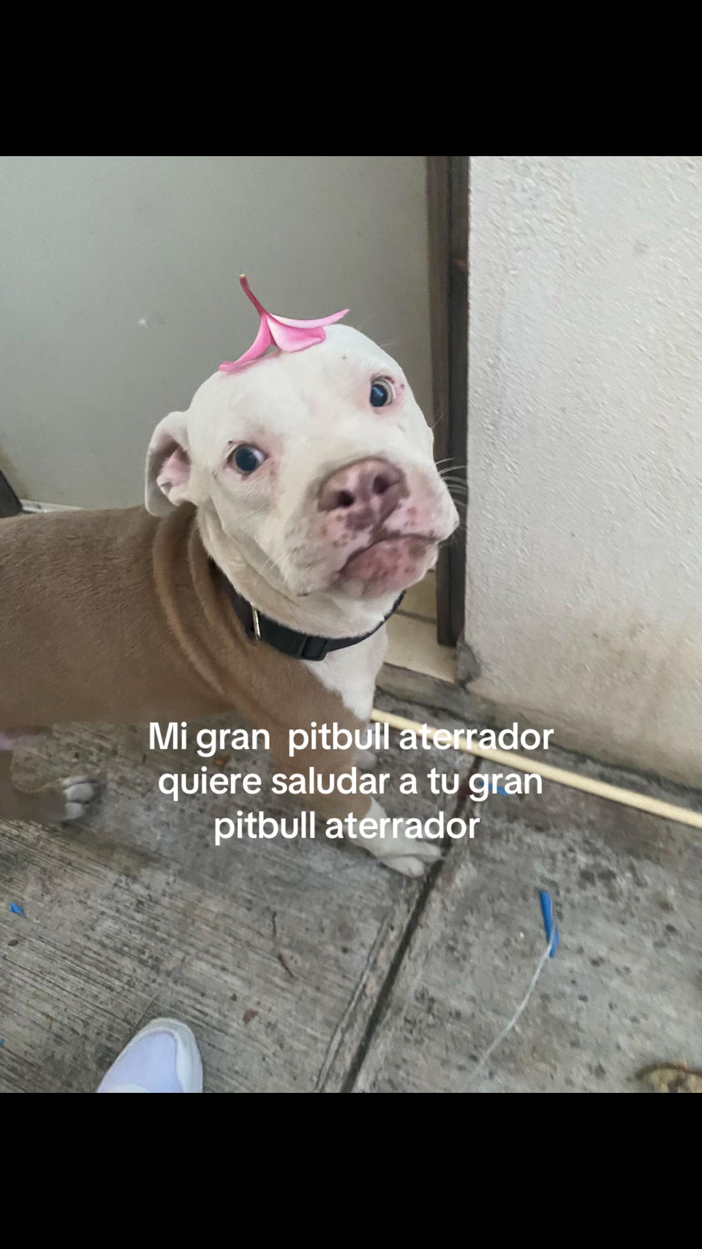 @camila_salazar070