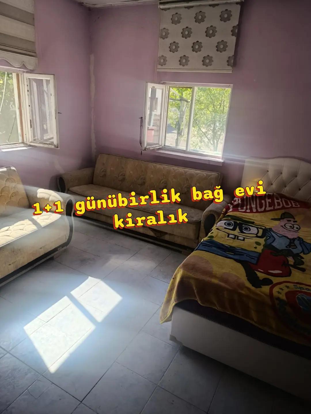 @nefretimsin dünya