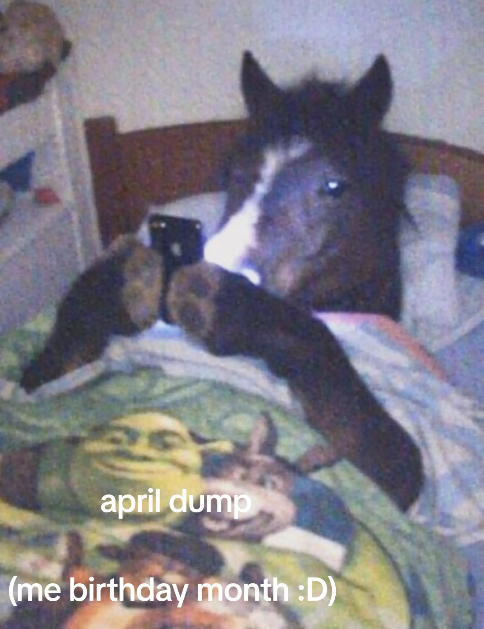 @Ashroses <3