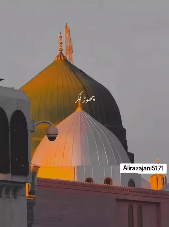 @🚩شاہ جی کہتے ہیں🚩