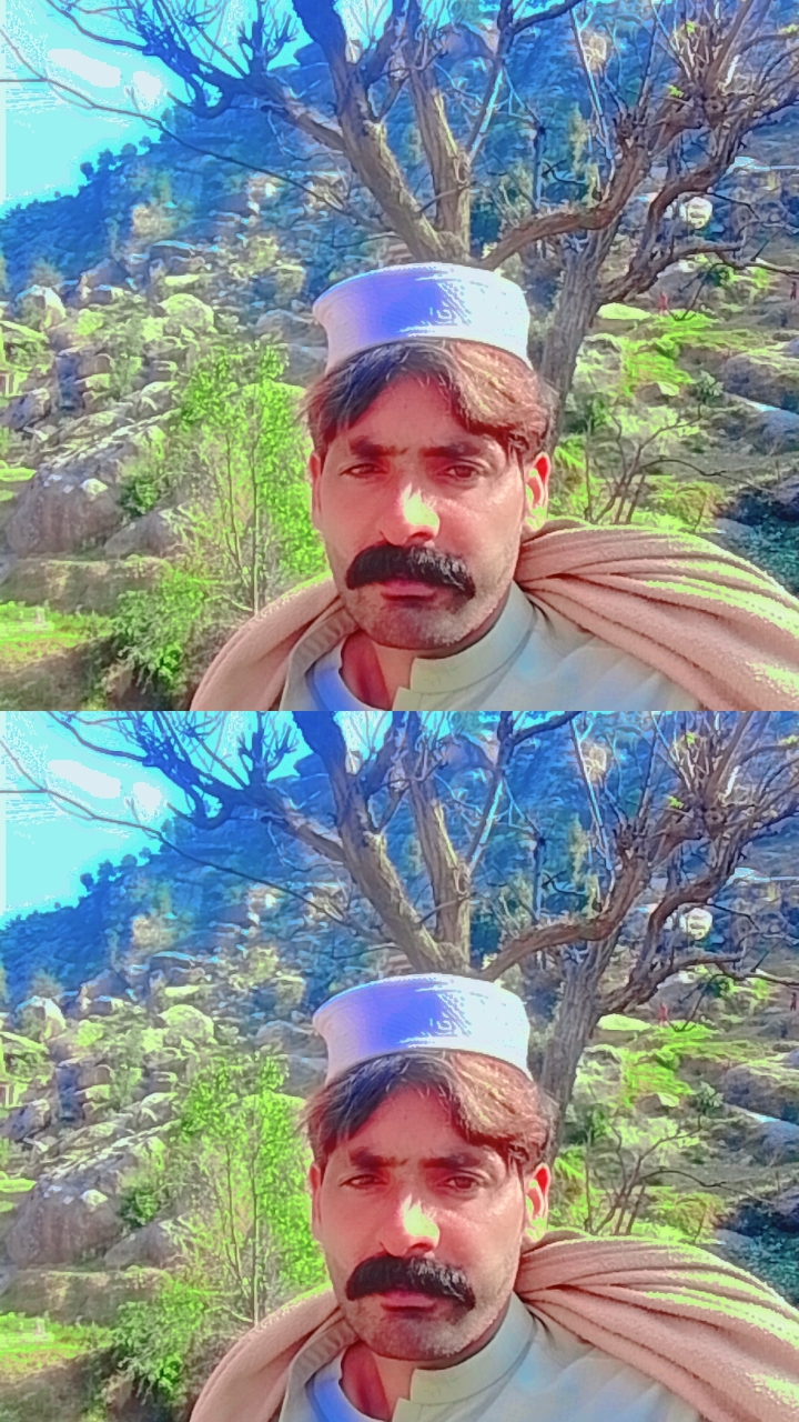 @Sherin Zada442