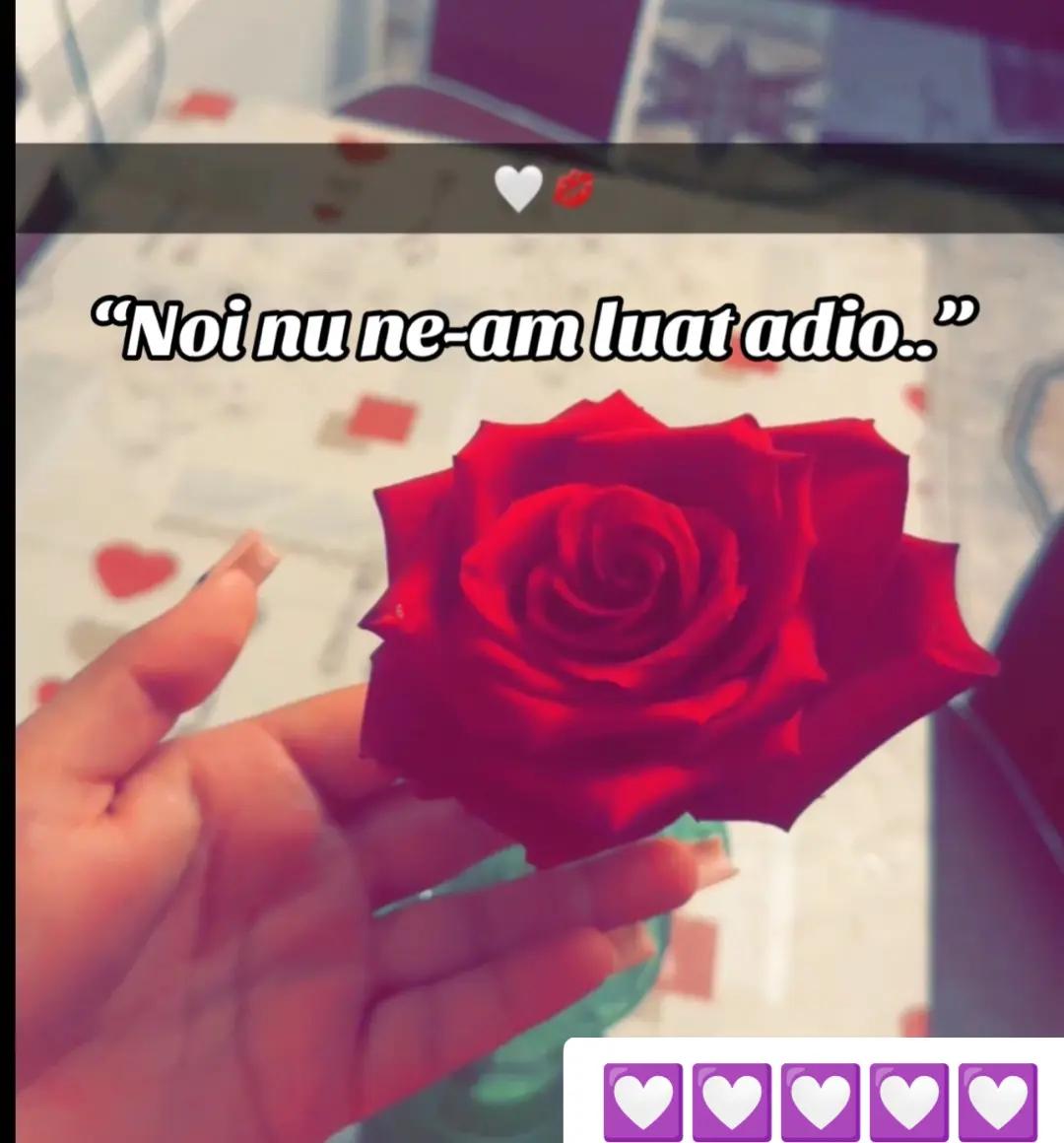 @🧸Saby.s_66🧸