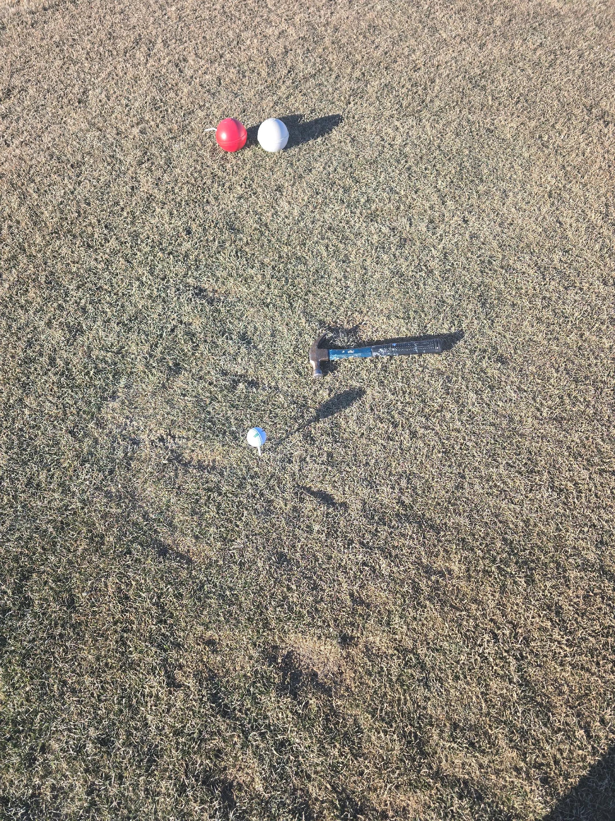 @ericdennisyyc