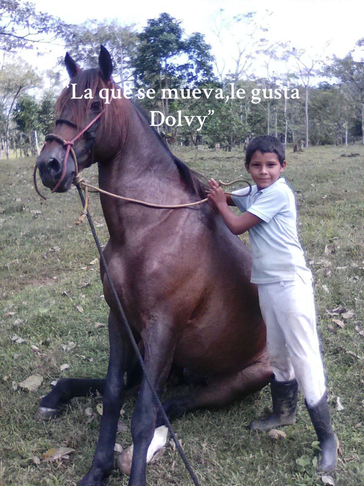 @Dolvy F
