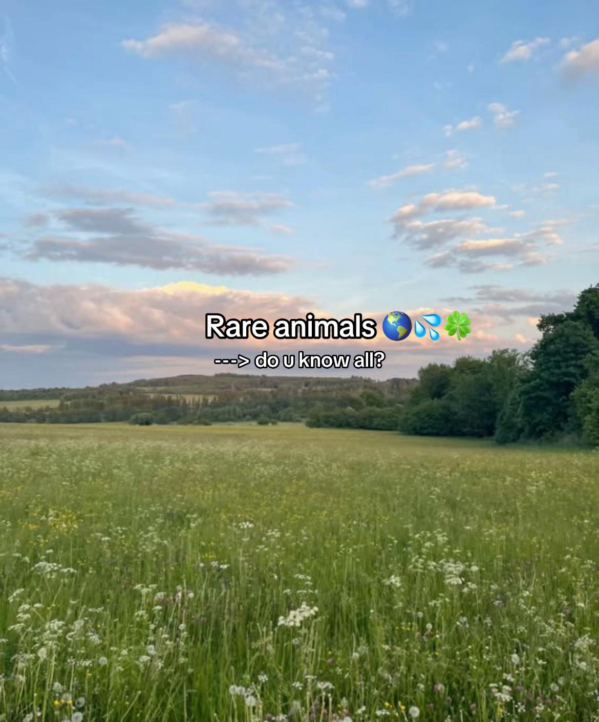 @Wildrise 🌱💦🌍