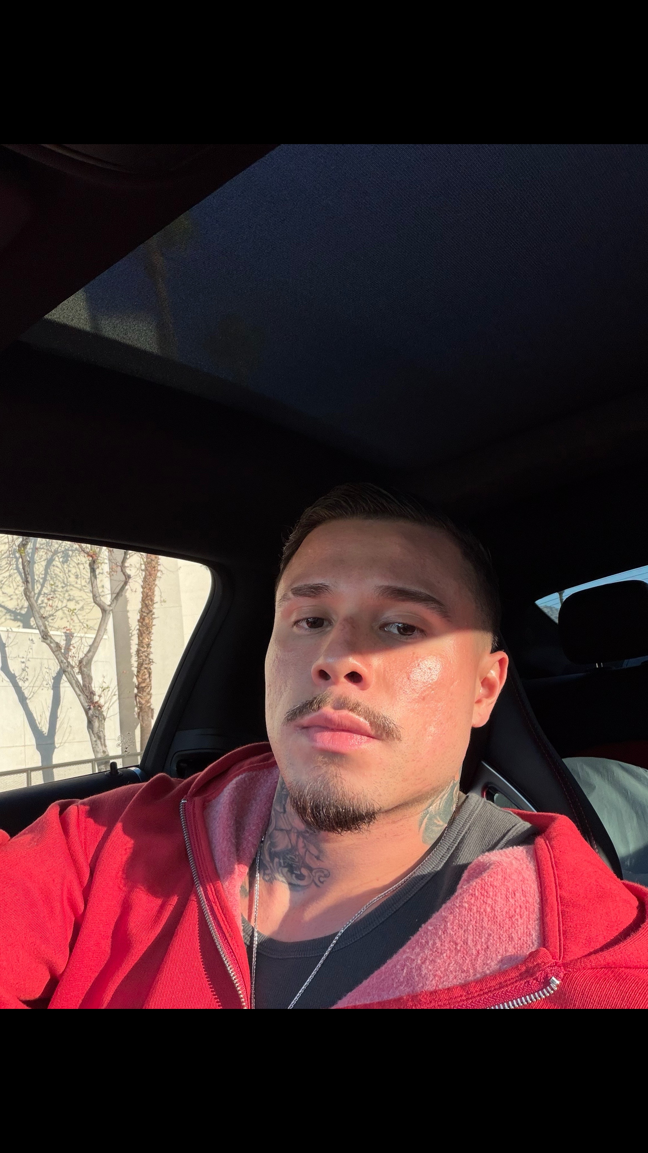 @silva.trains