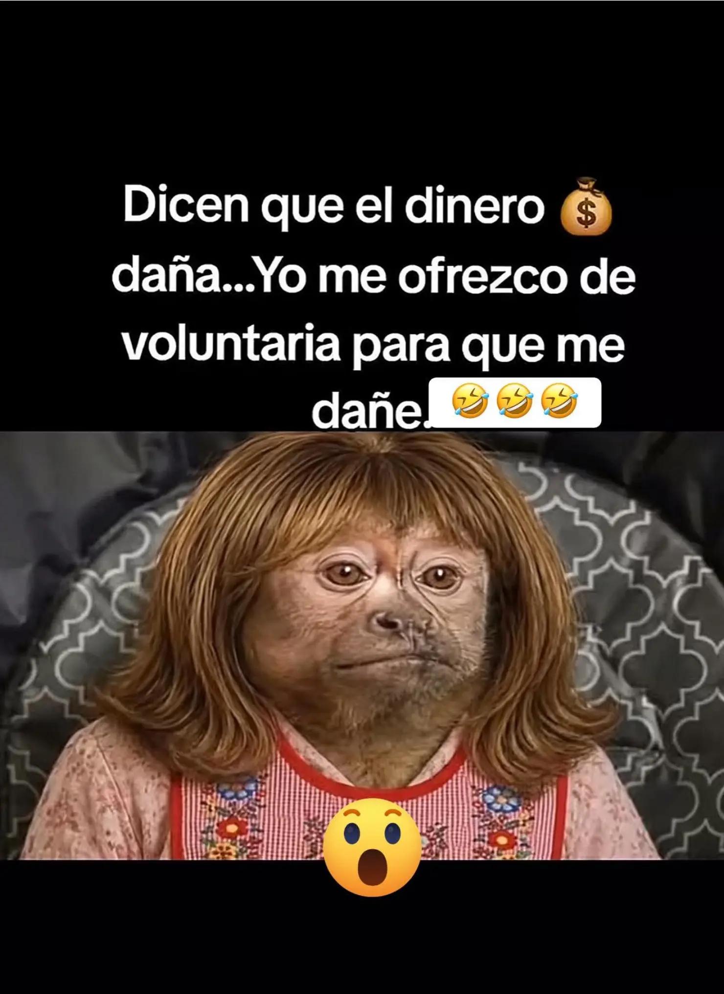 @Mooon