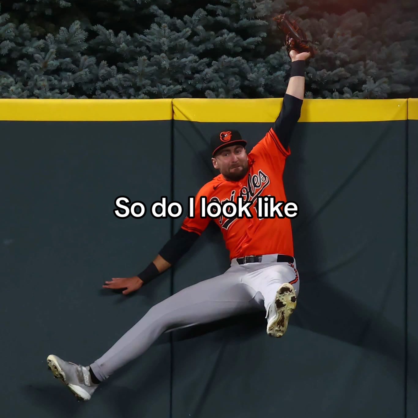 @flockwhodey.editzz