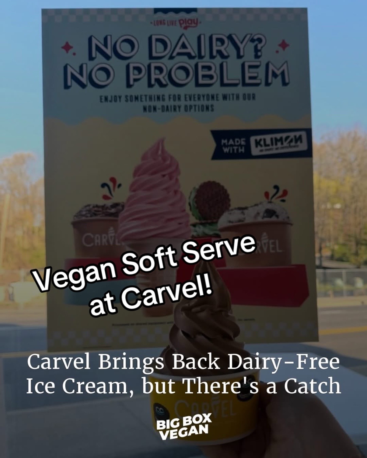 @bigboxvegan
