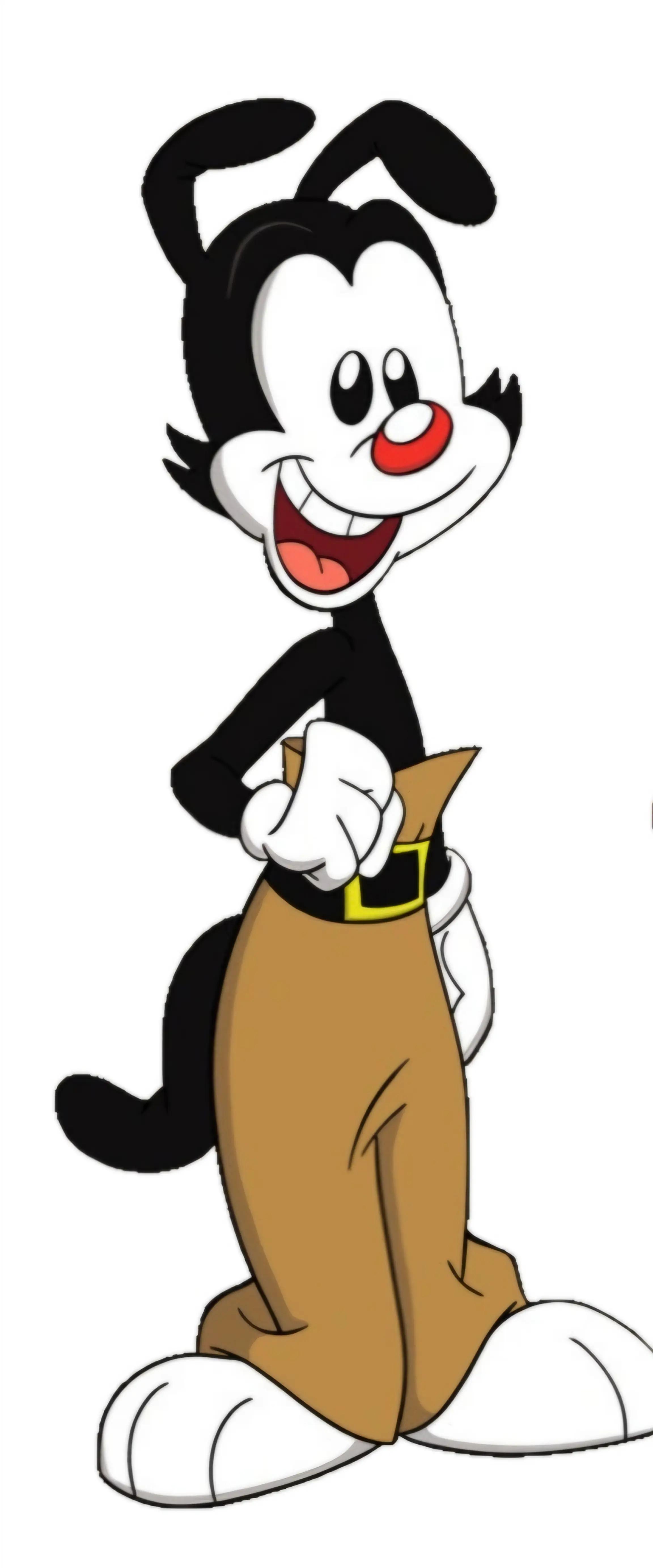 @yakko warner