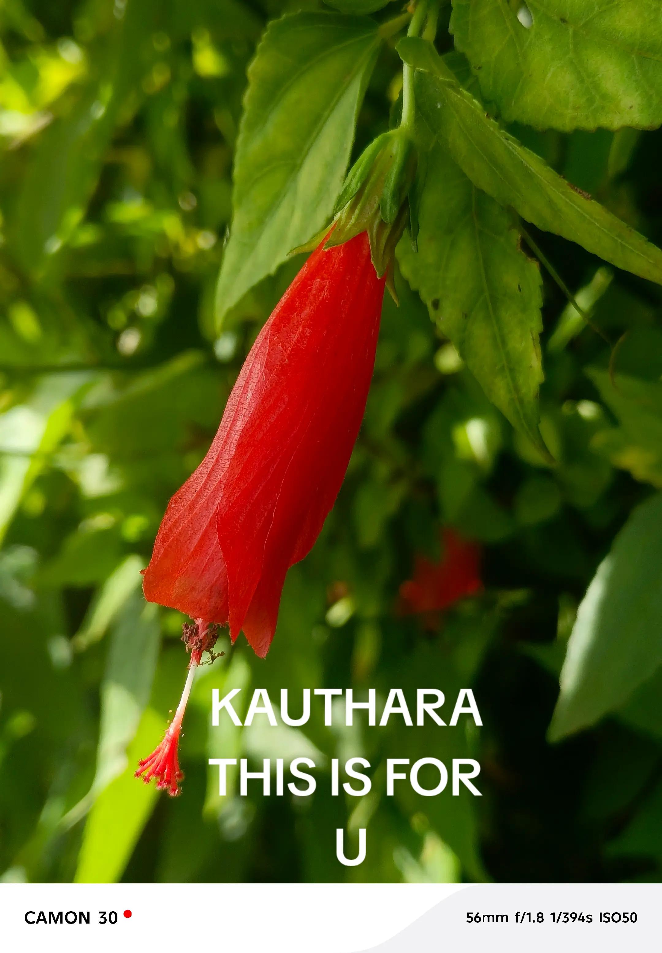@MINE@HEART❤️KAUTHARA