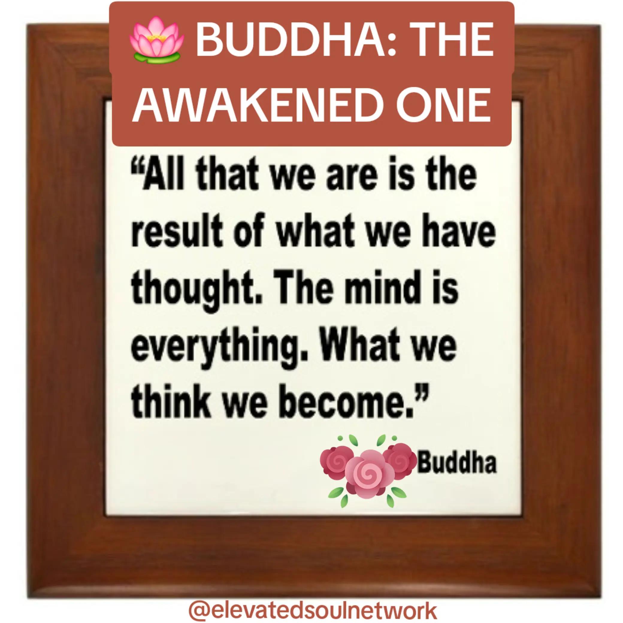 @Elevated Soul Network