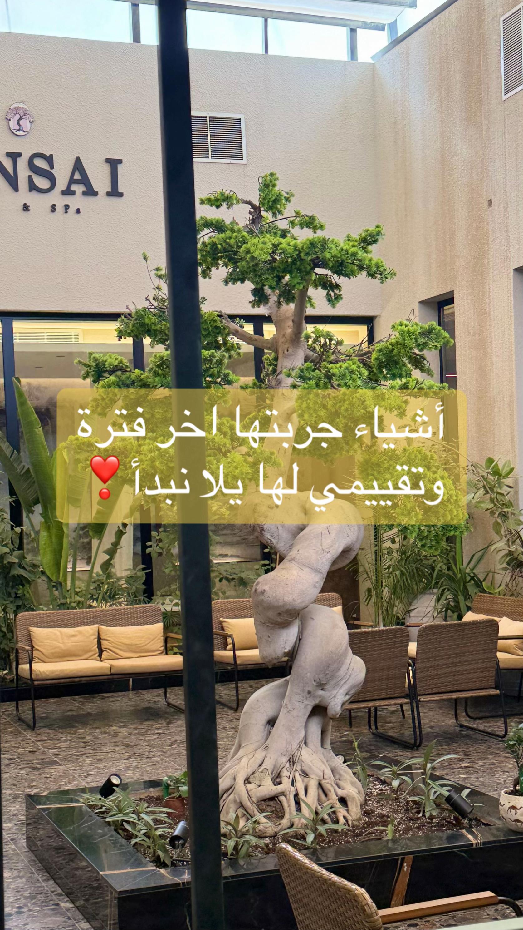 @أروى💛| my.opinion03@