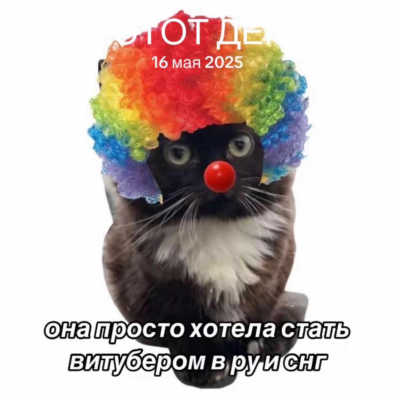 @meonos