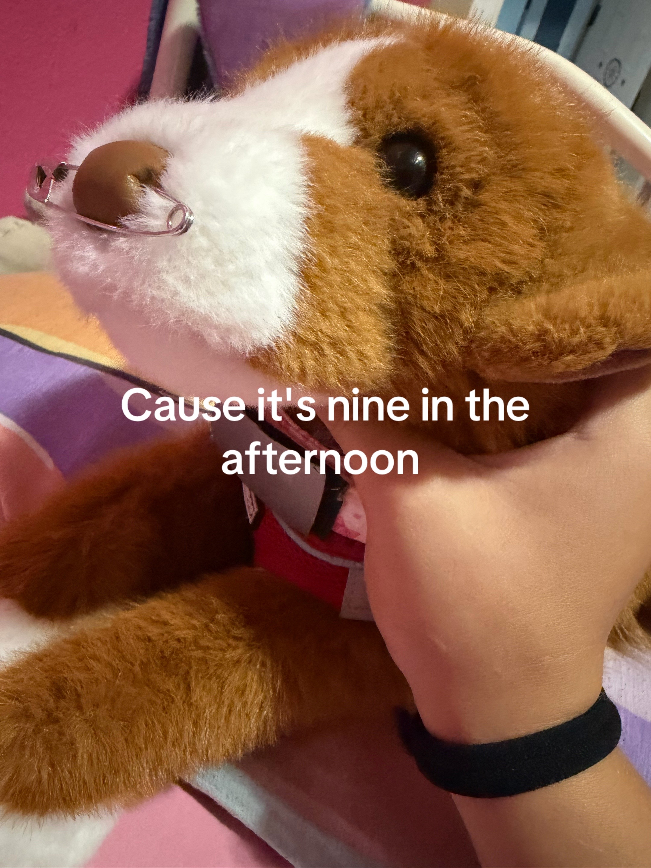 @🫐ᥫ᭡ßlµêßêrr¥ᥫ᭡🫐