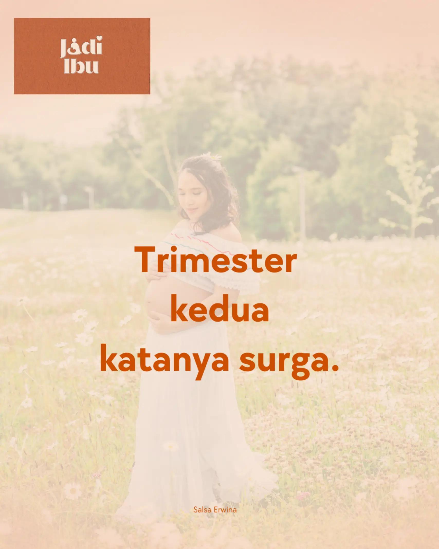 @salsaer
