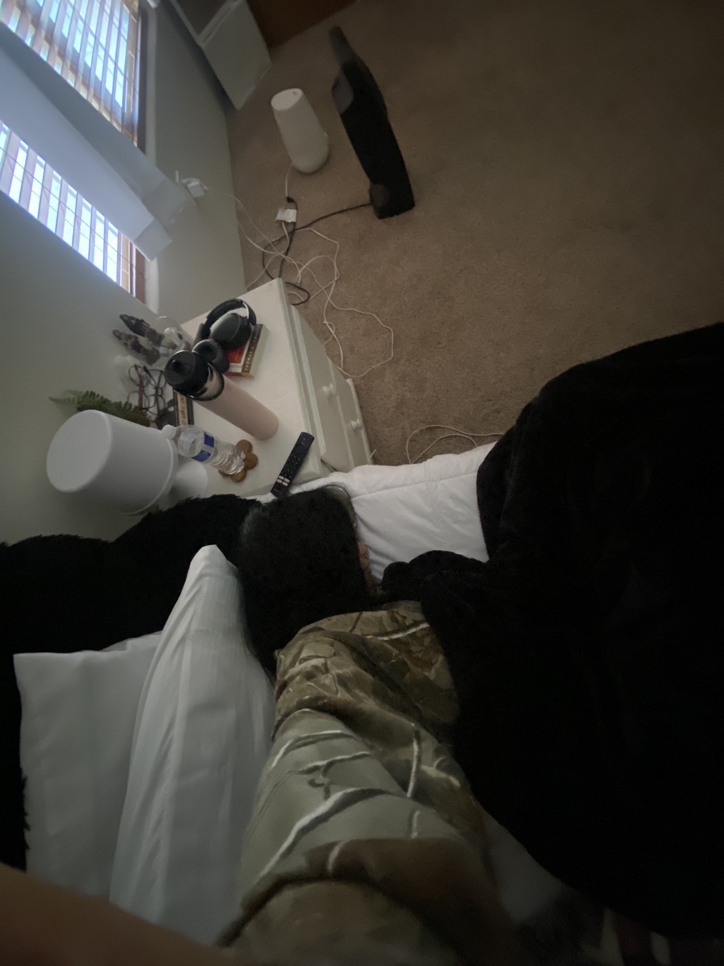 @drysprite82
