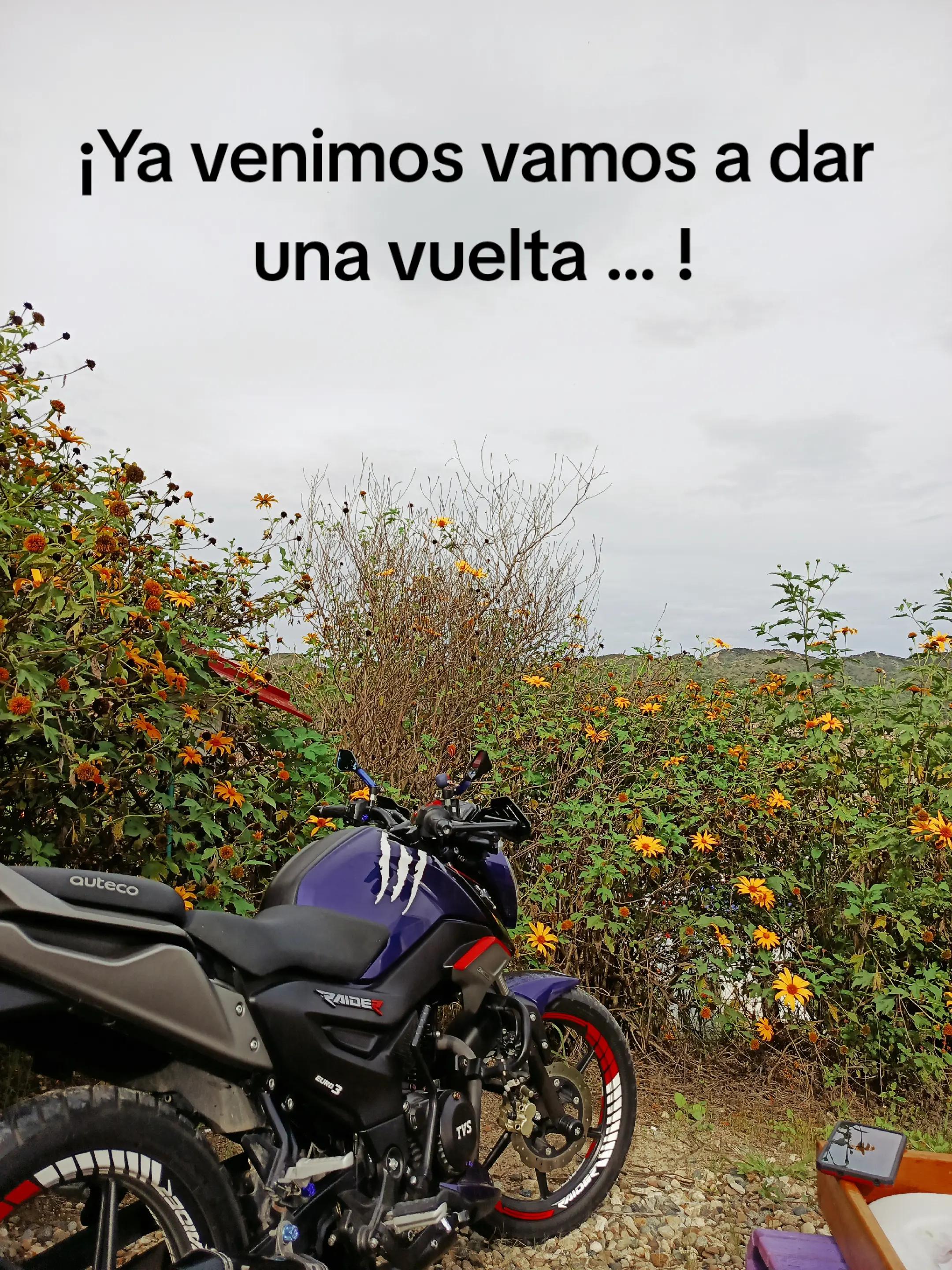 @A.E.V.C