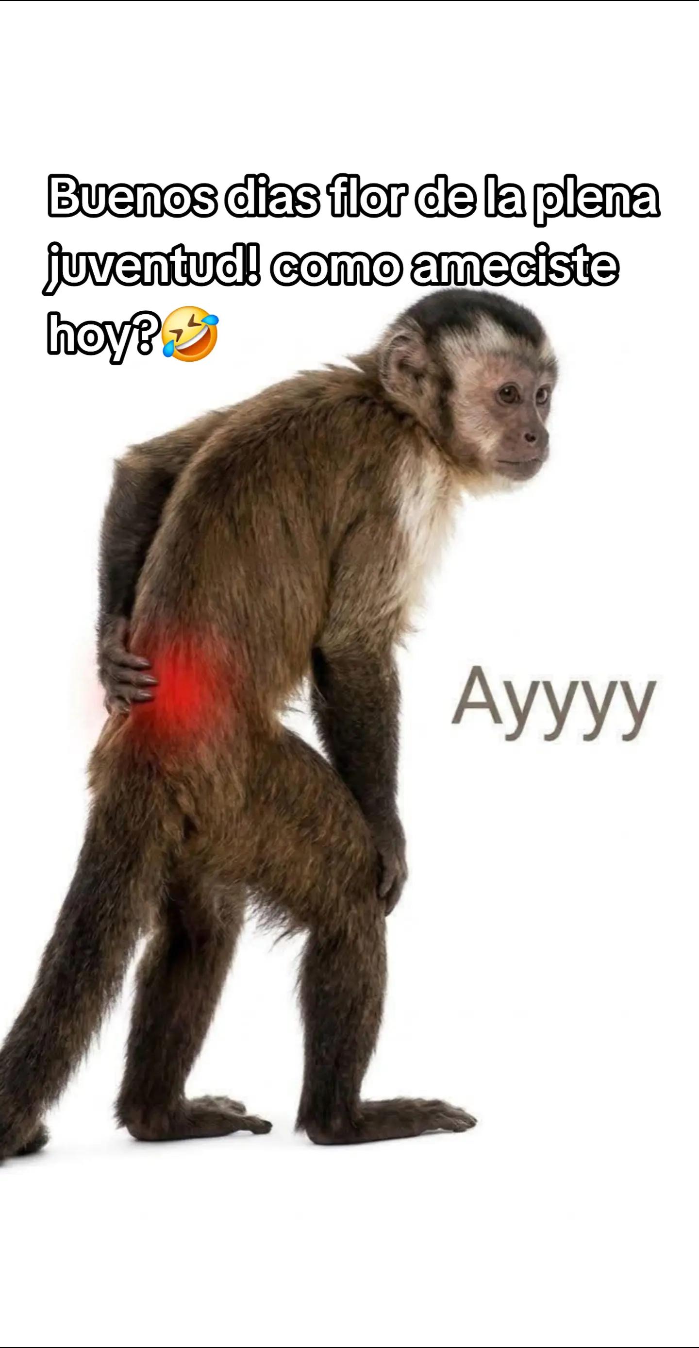 @Omar Vargas