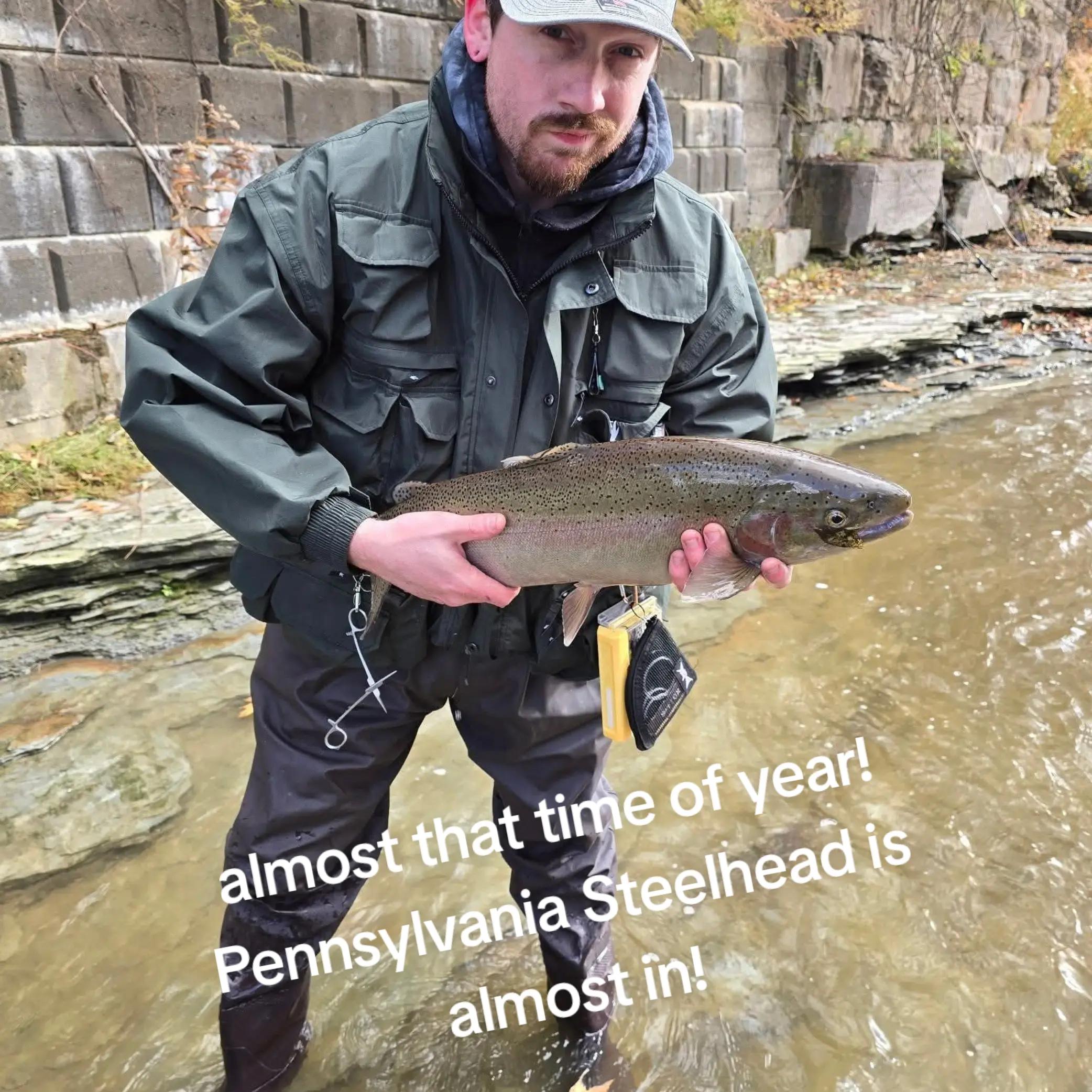 @DingleBerryBill