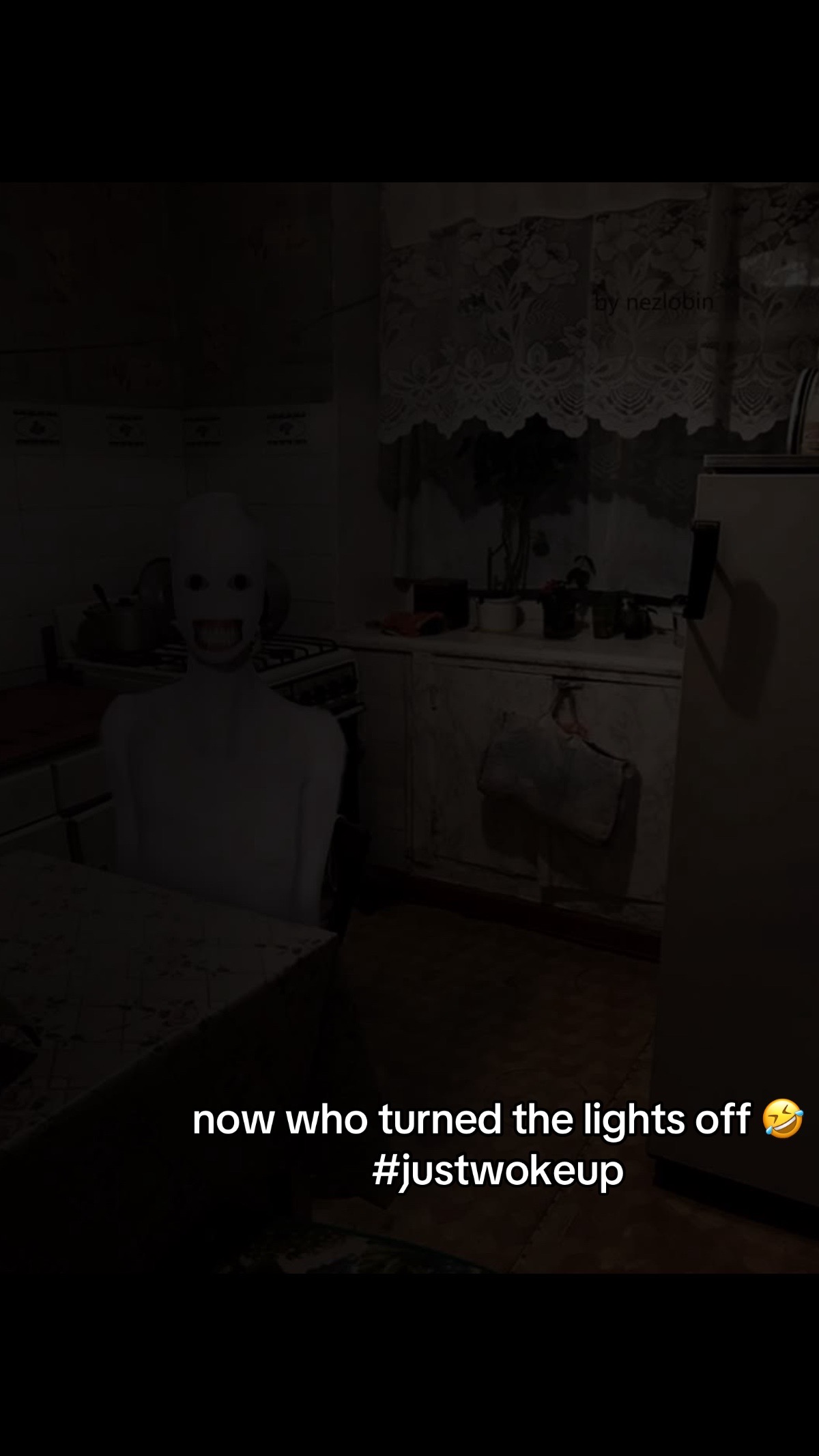 @rexv3